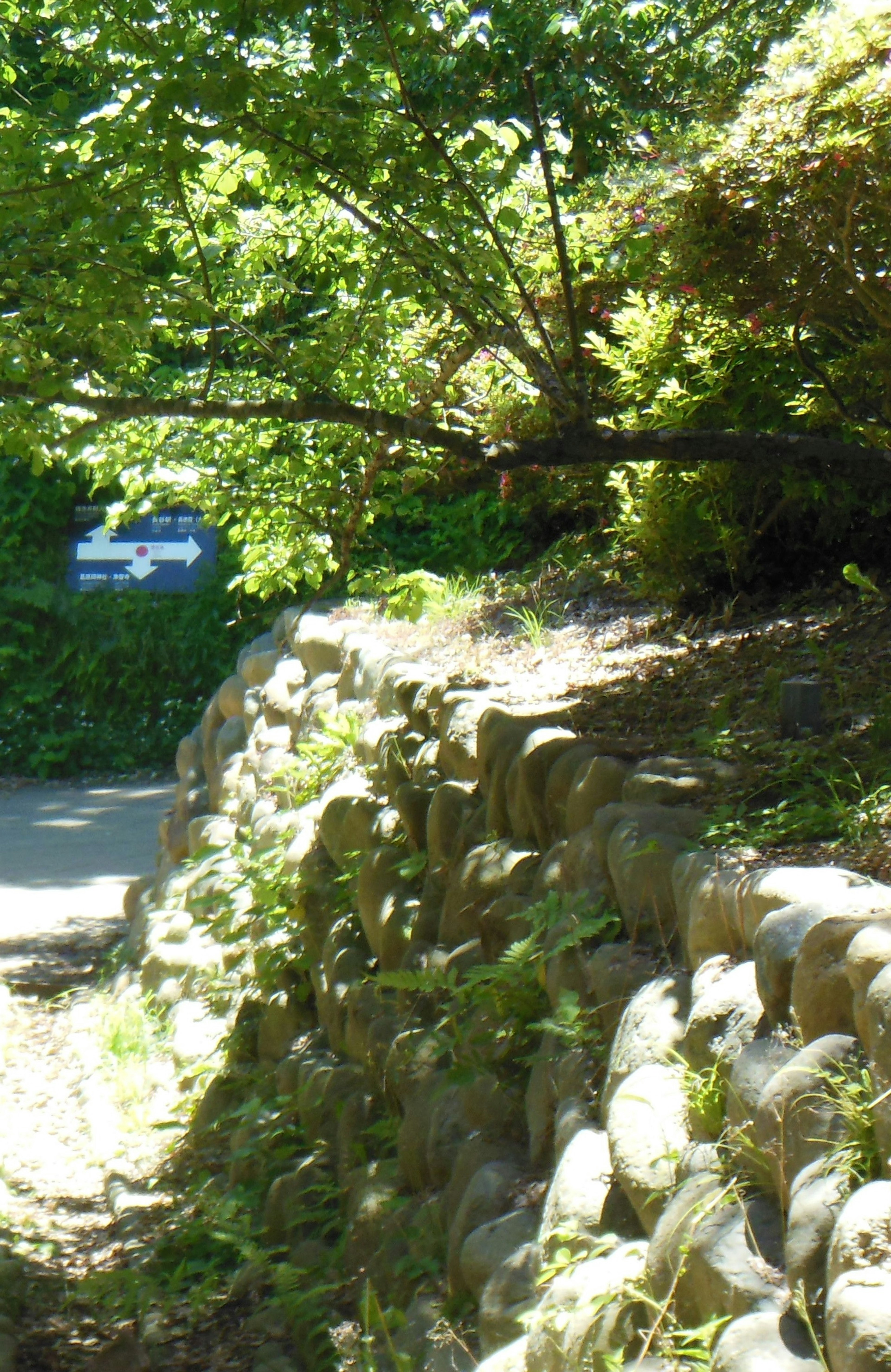 Weg, der von einer Steinmauer umgeben ist, umgeben von üppigem Grün