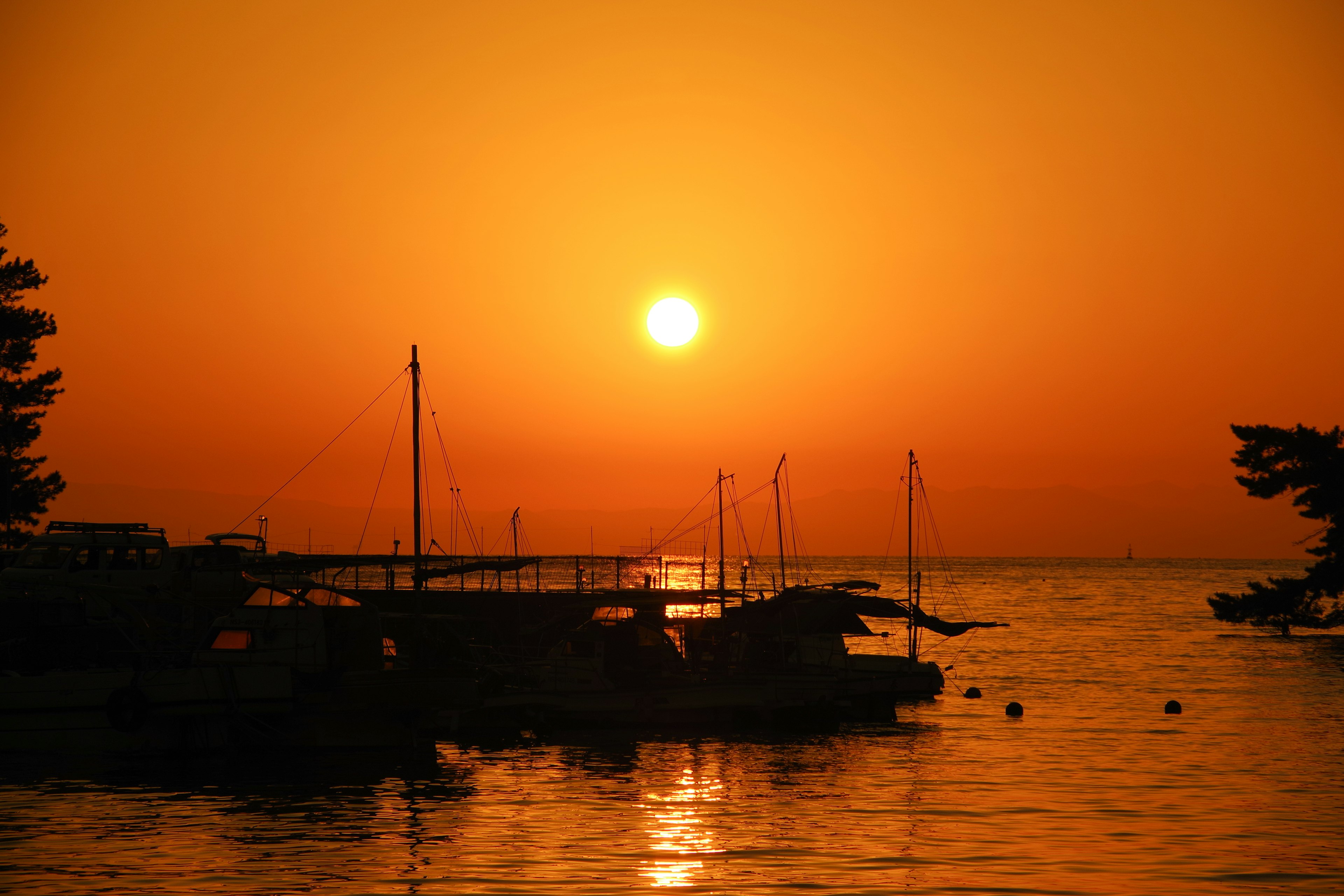 Schöner Sonnenuntergang über dem Meer mit Booten und Bäumen im Silhouettenformat