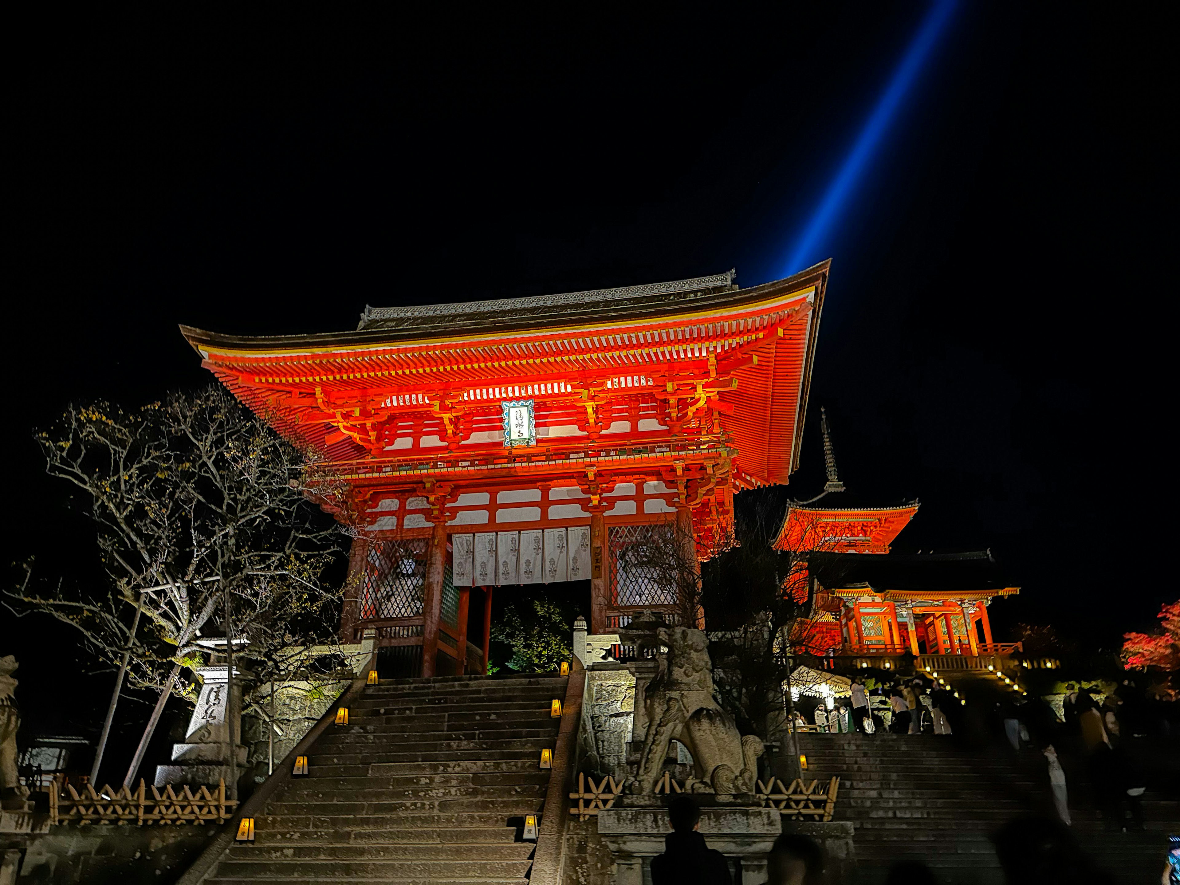 夜の清水寺の赤い門と階段が美しく照らされている