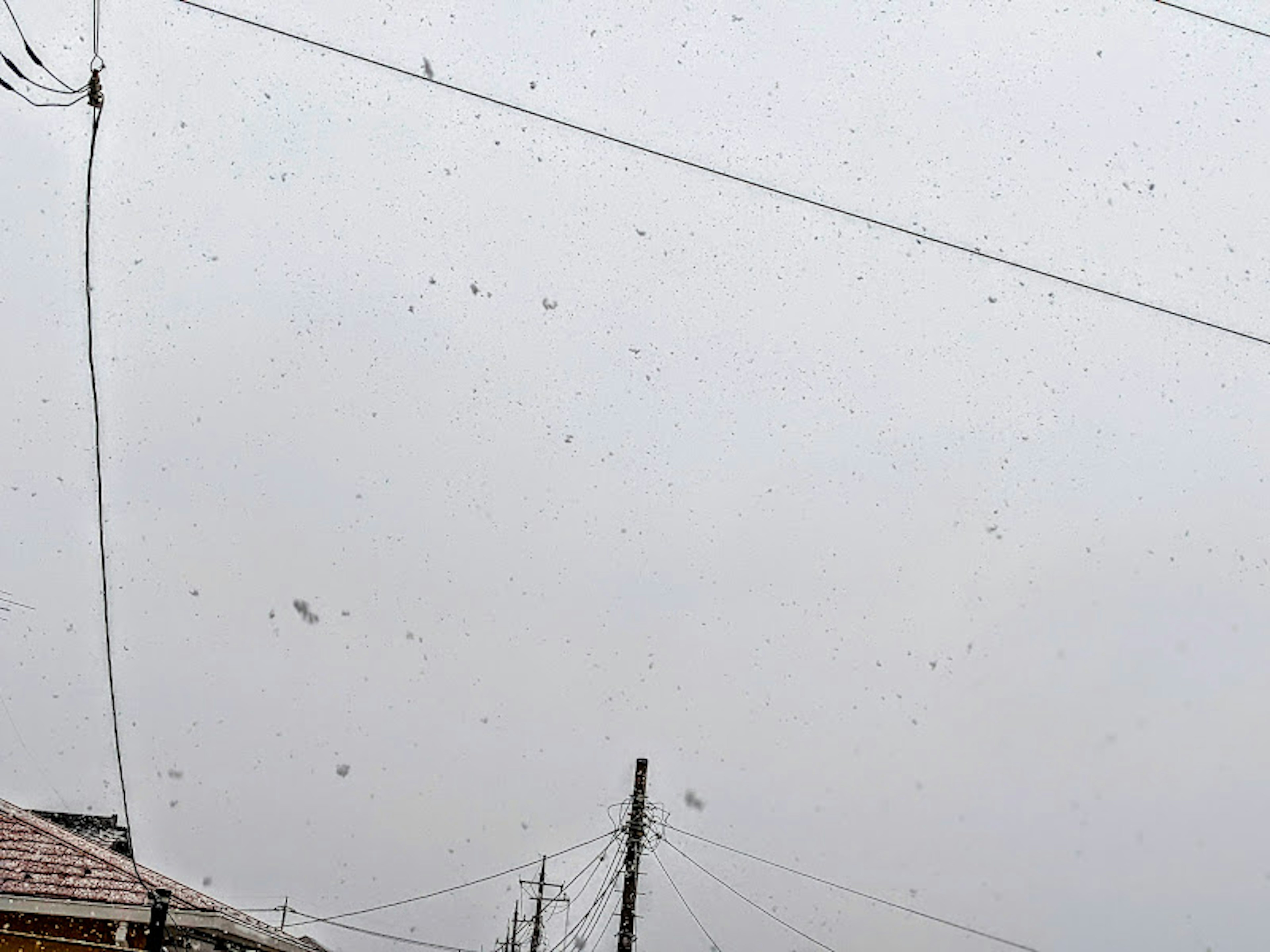 Cielo nublado con nieve cayendo líneas eléctricas y edificios visibles