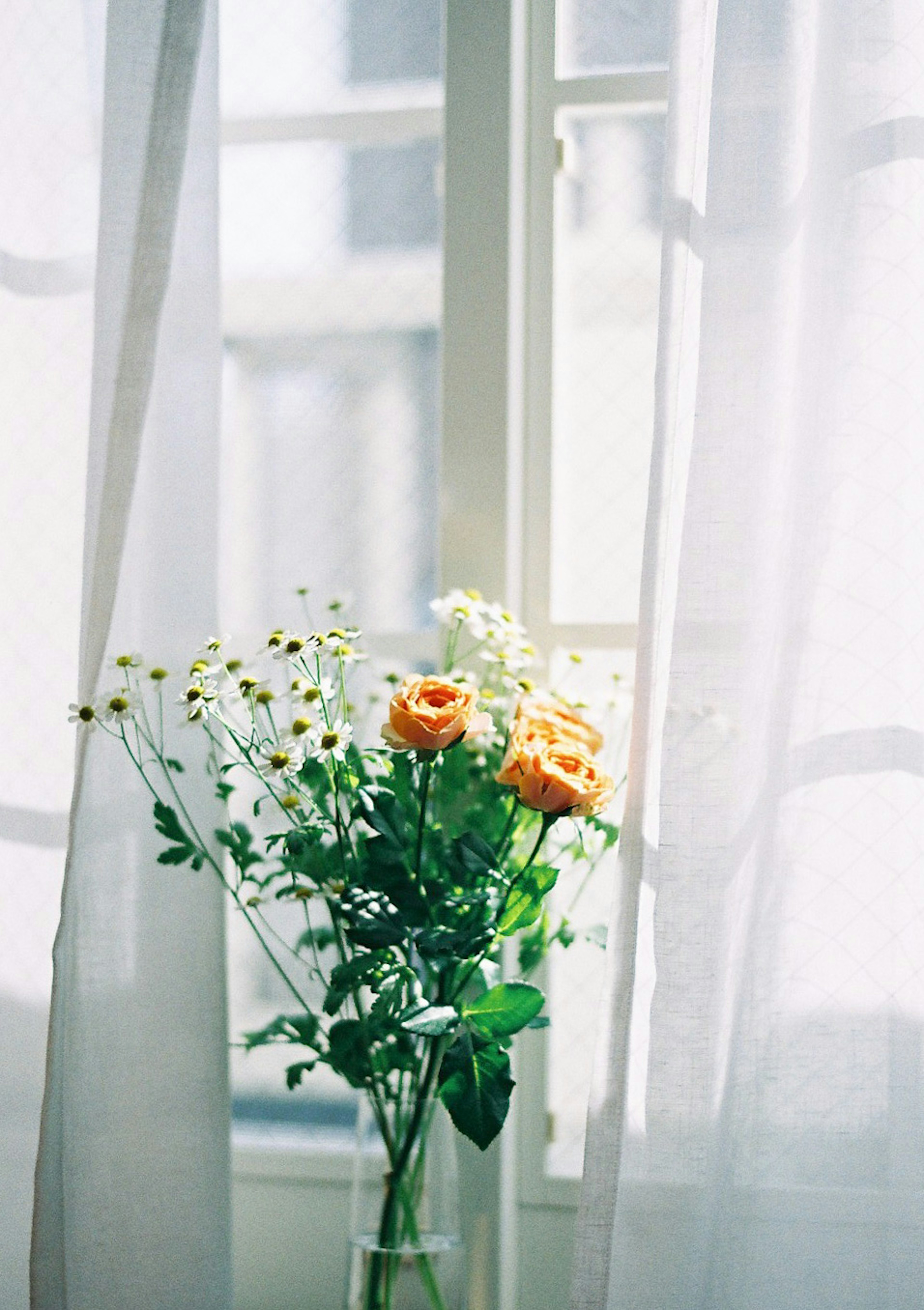 A bouquet of orange roses and small white flowers seen through sheer white curtains