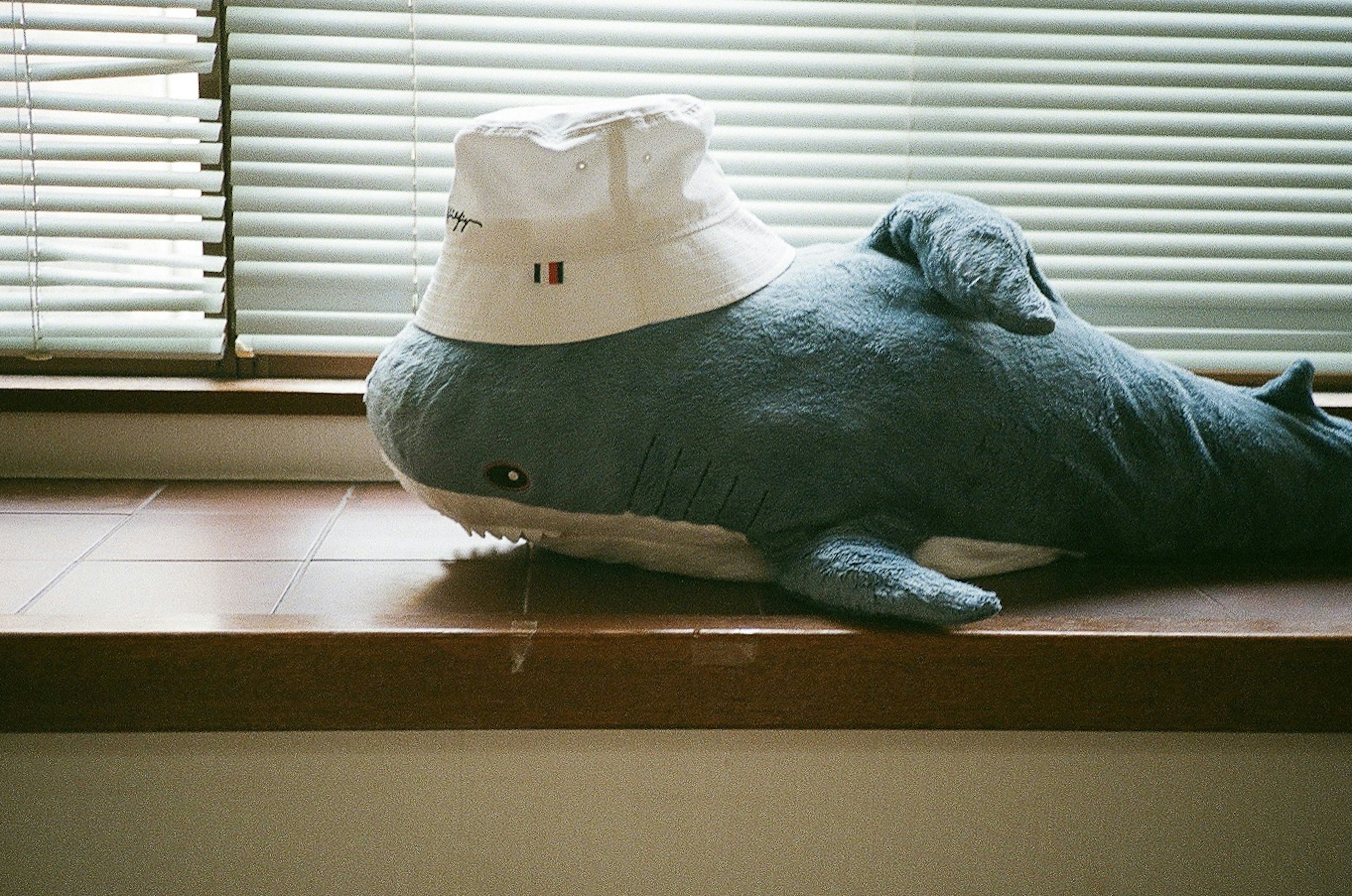 A blue whale plush toy wearing a white chef hat sitting on a windowsill