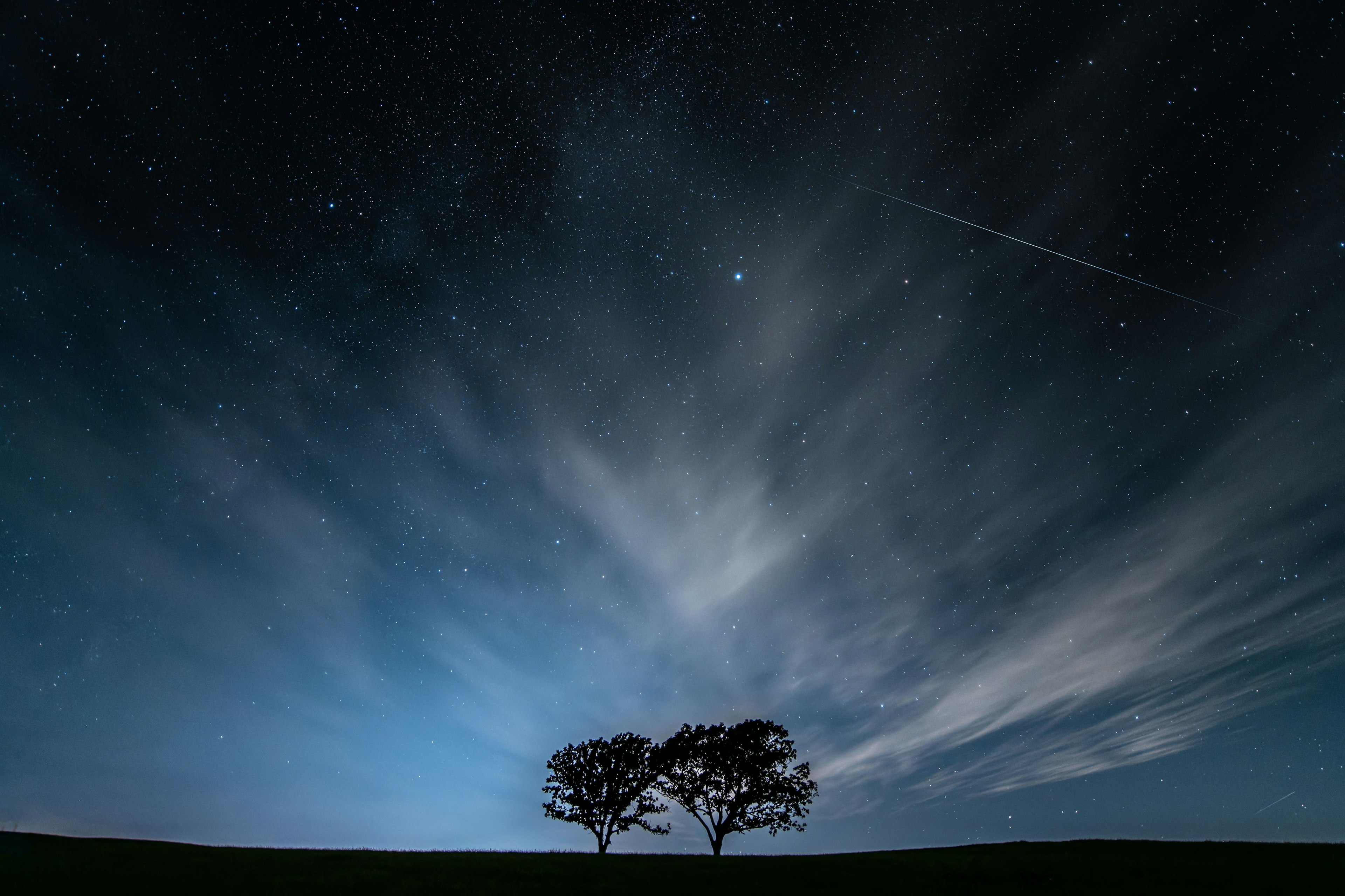 Two trees silhouetted against a starry night sky with a shooting star