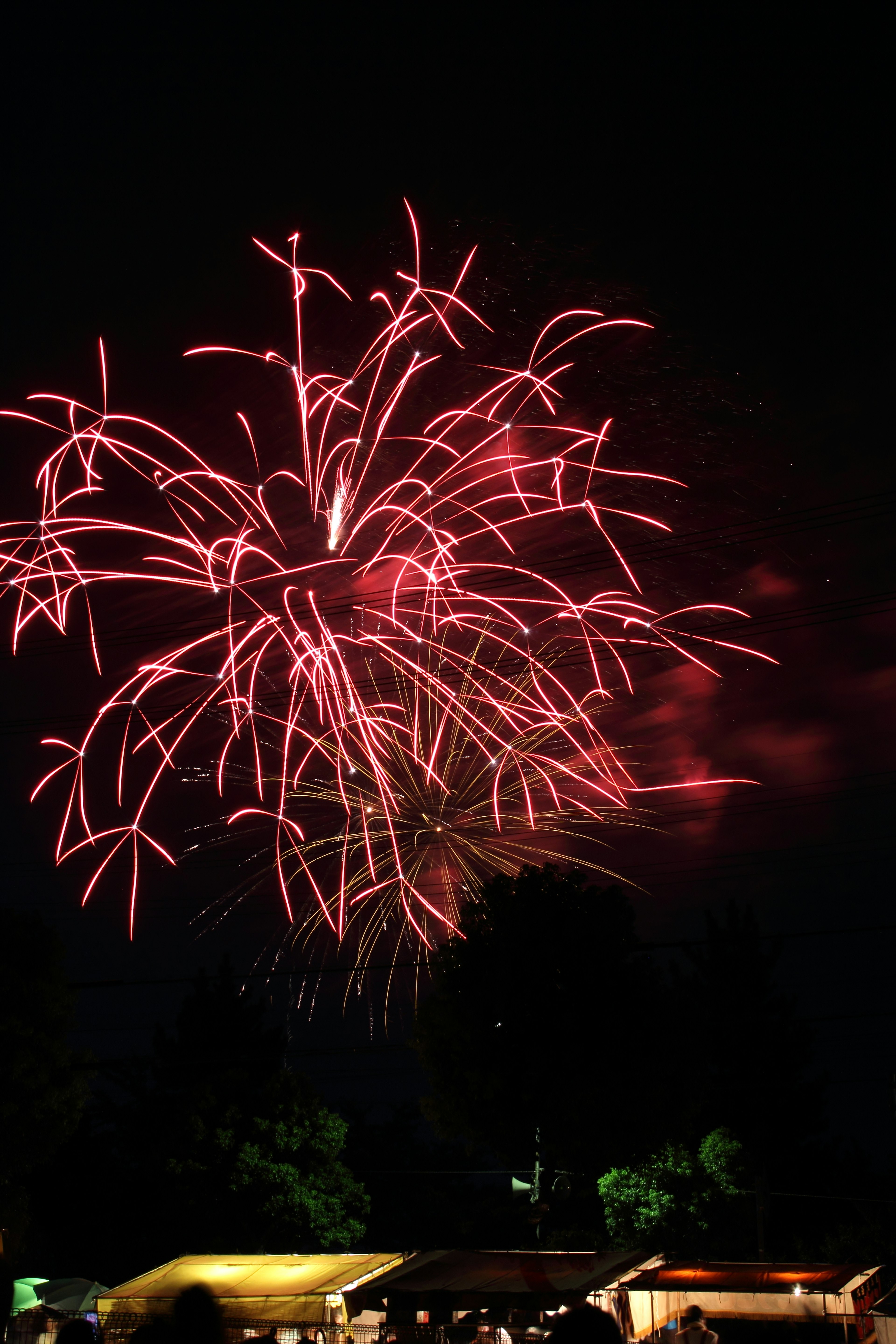 Hermoso espectáculo de fuegos artificiales rojos estallando en el cielo nocturno