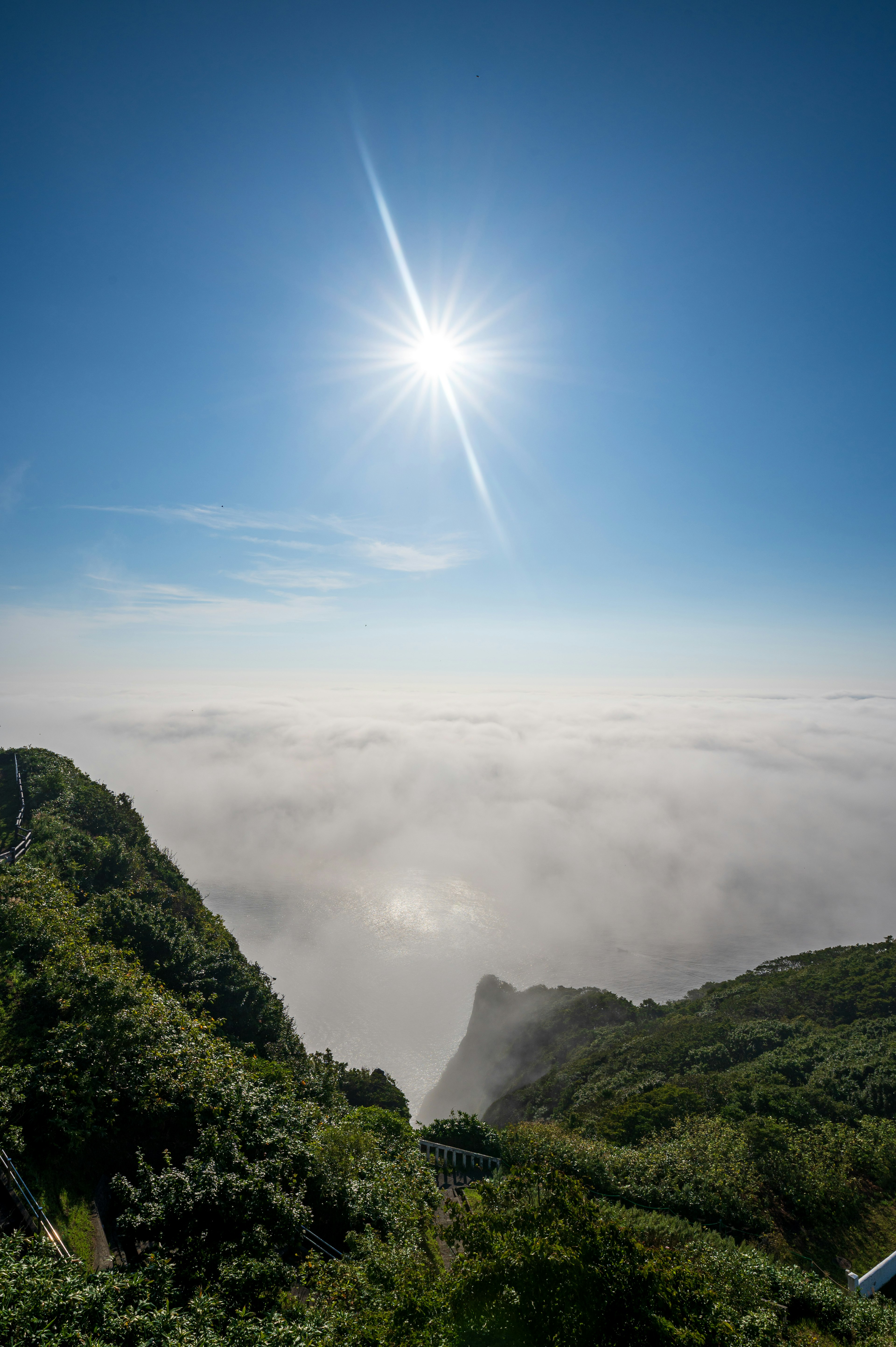 青空と太陽を背景に、雲海に囲まれた緑の山々の風景