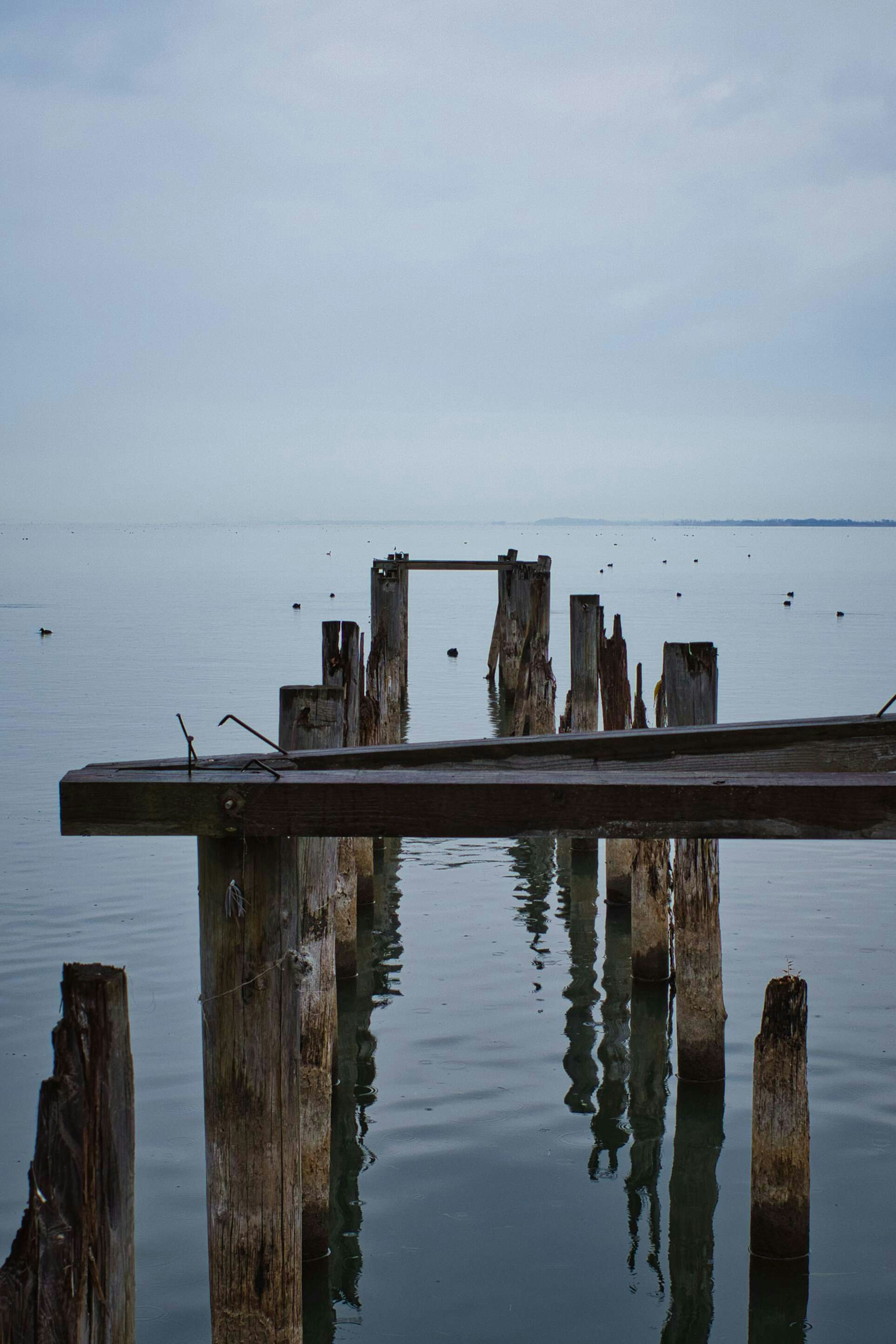 Old pier remnants reflected in calm water