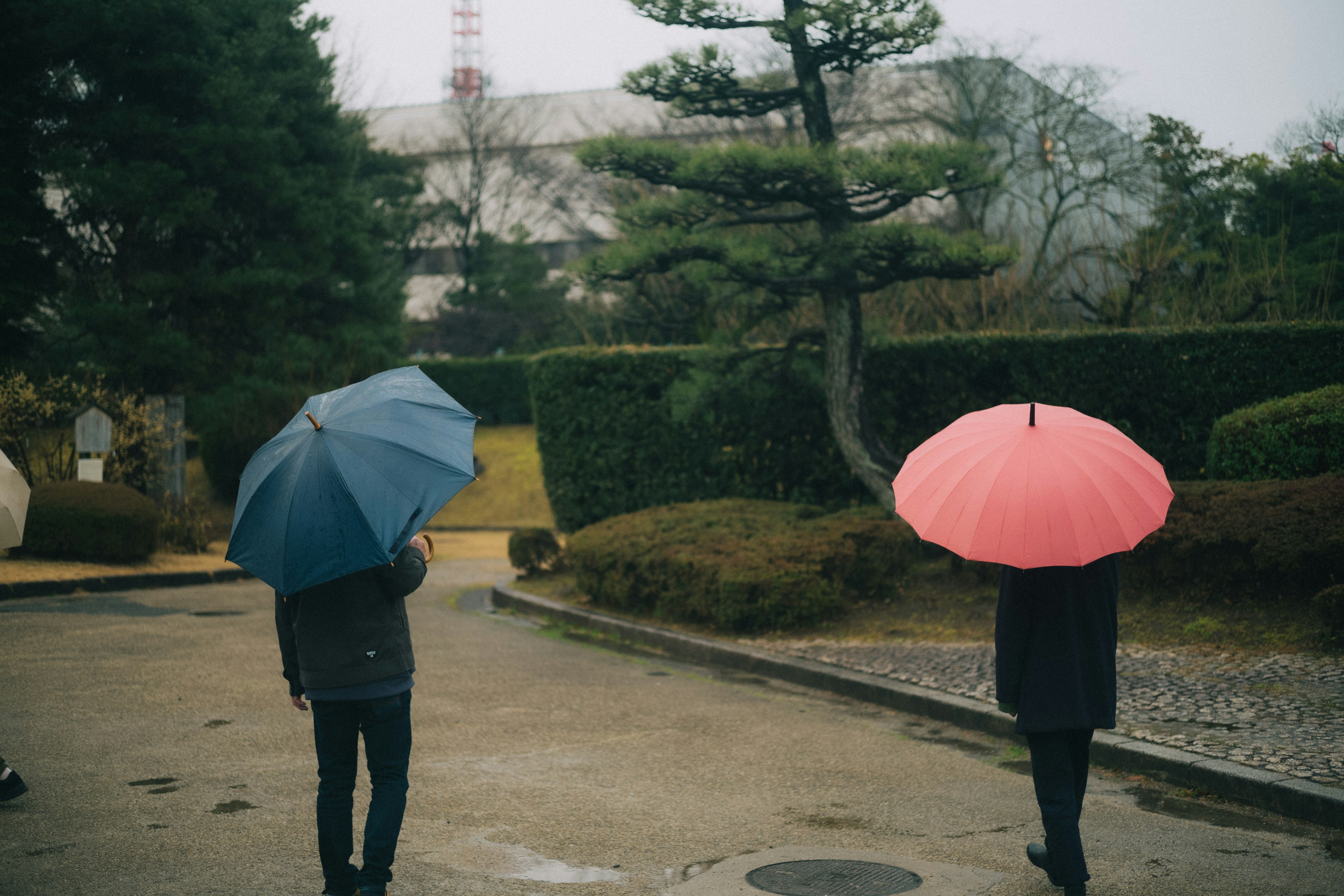 二人の人が傘を持って歩いている公園の風景