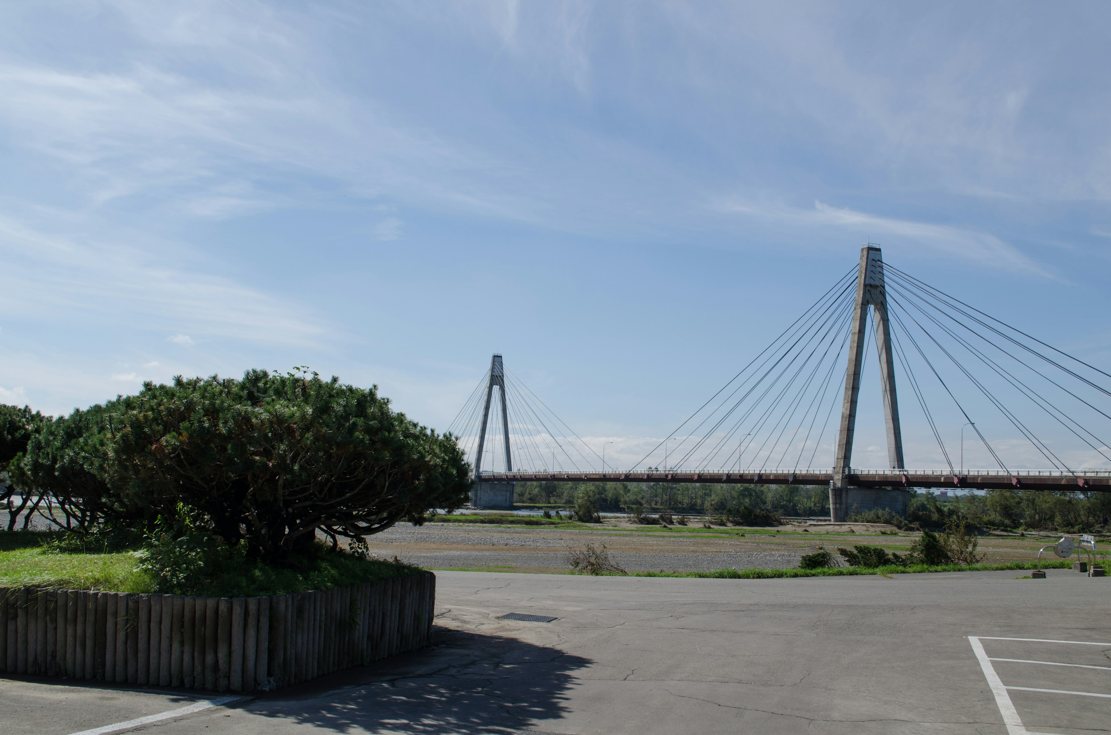 Vista de un puente con cielo azul y vegetación en primer plano