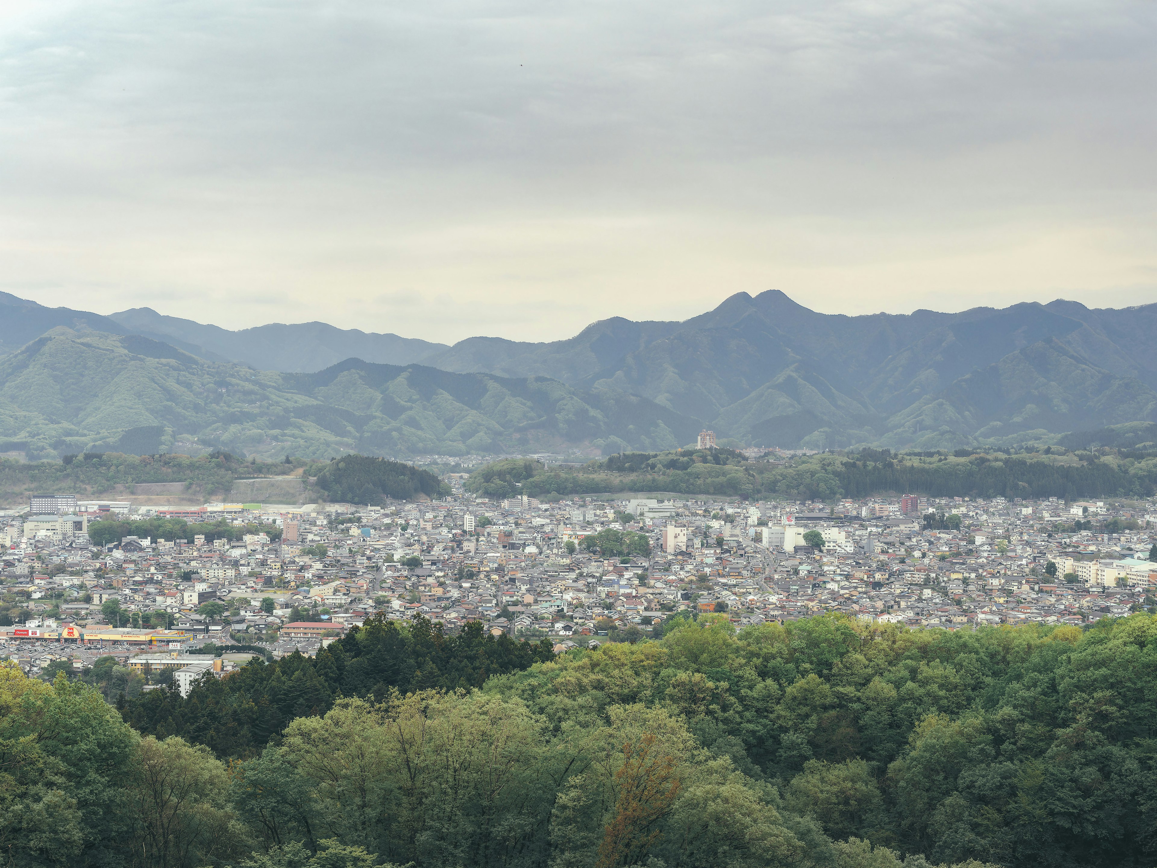 Una vista panoramica di una città circondata da montagne con una vegetazione lussureggiante in primo piano