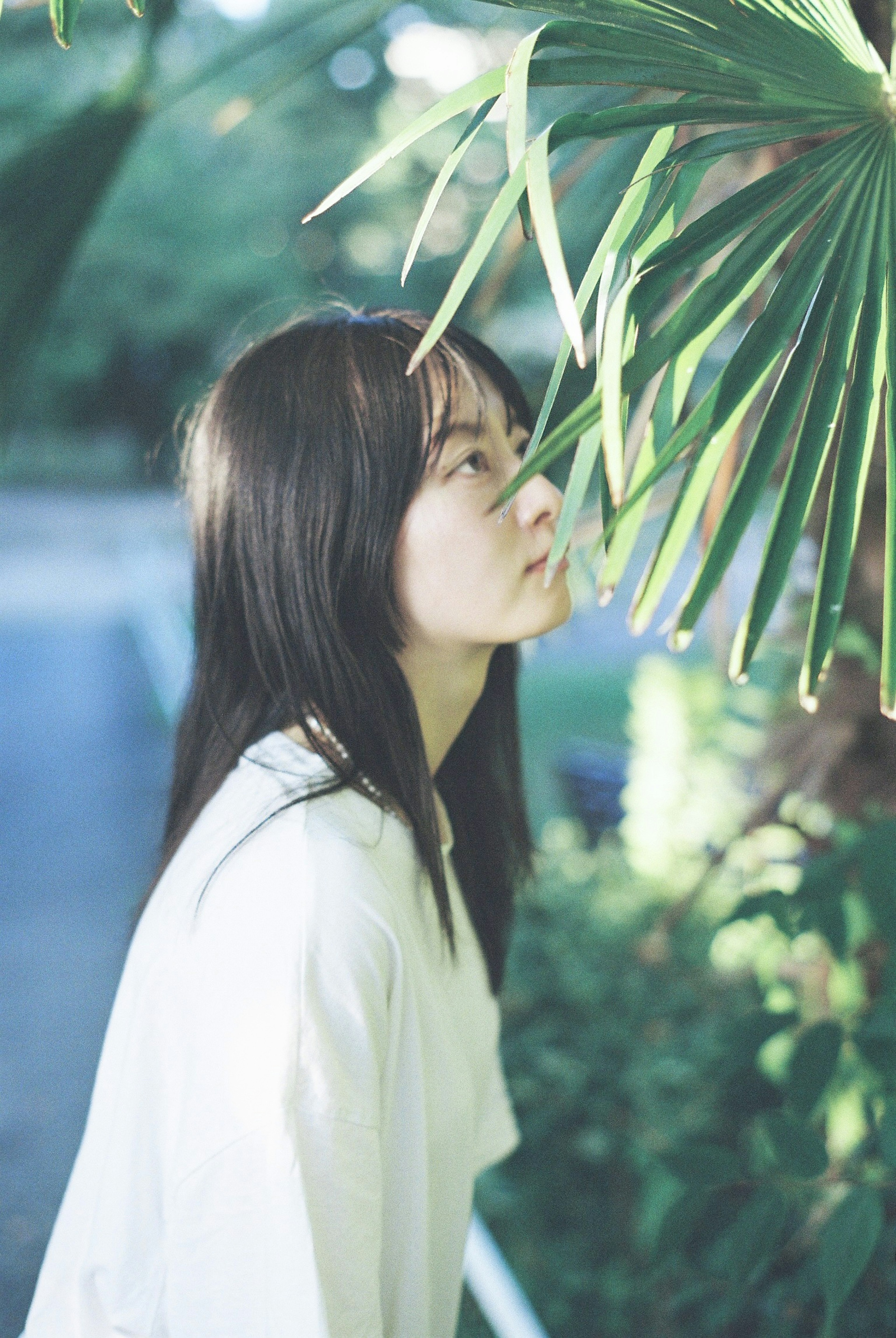 Jeune femme regardant des feuilles vertes