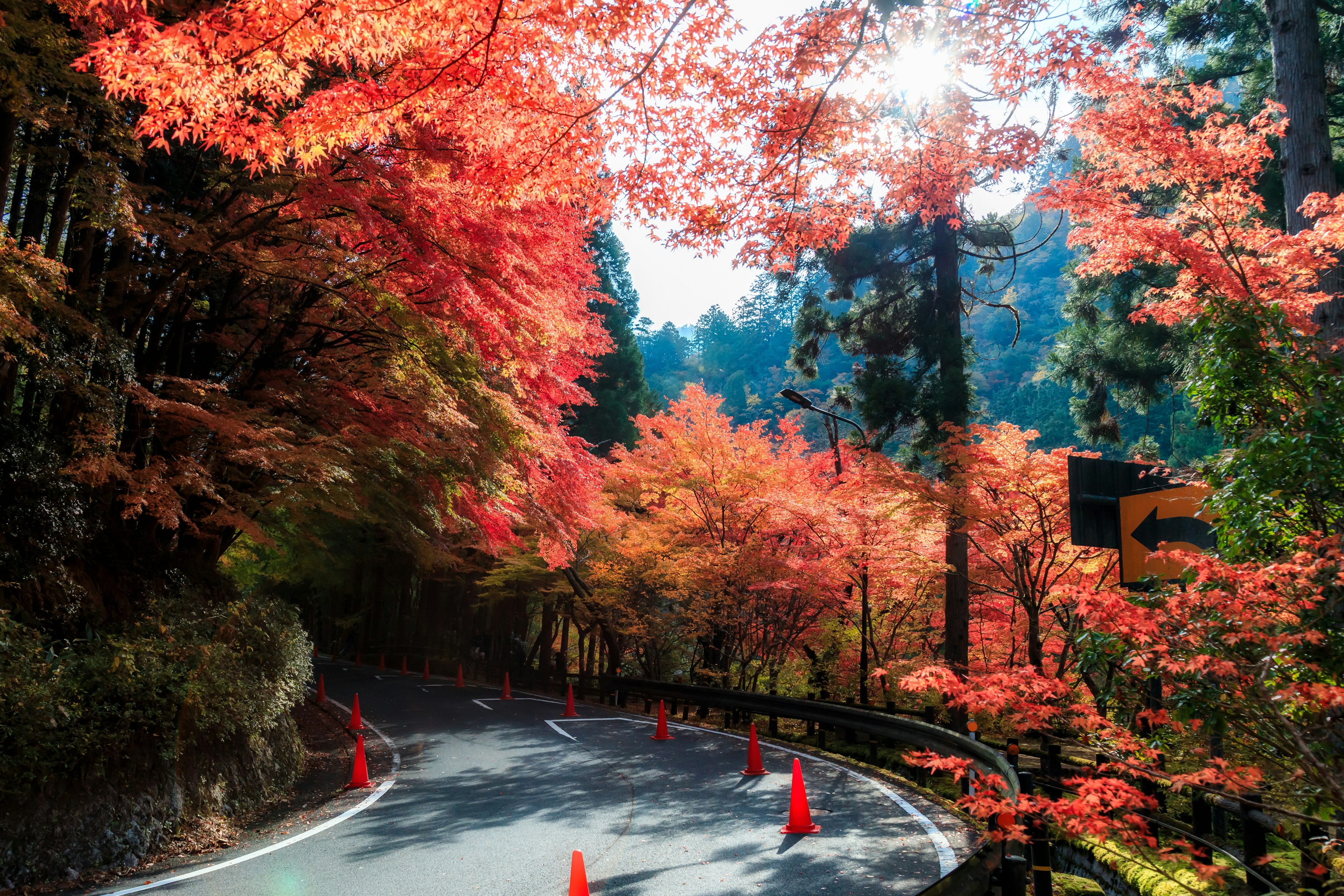 紅葉に囲まれた曲がりくねった道路の風景