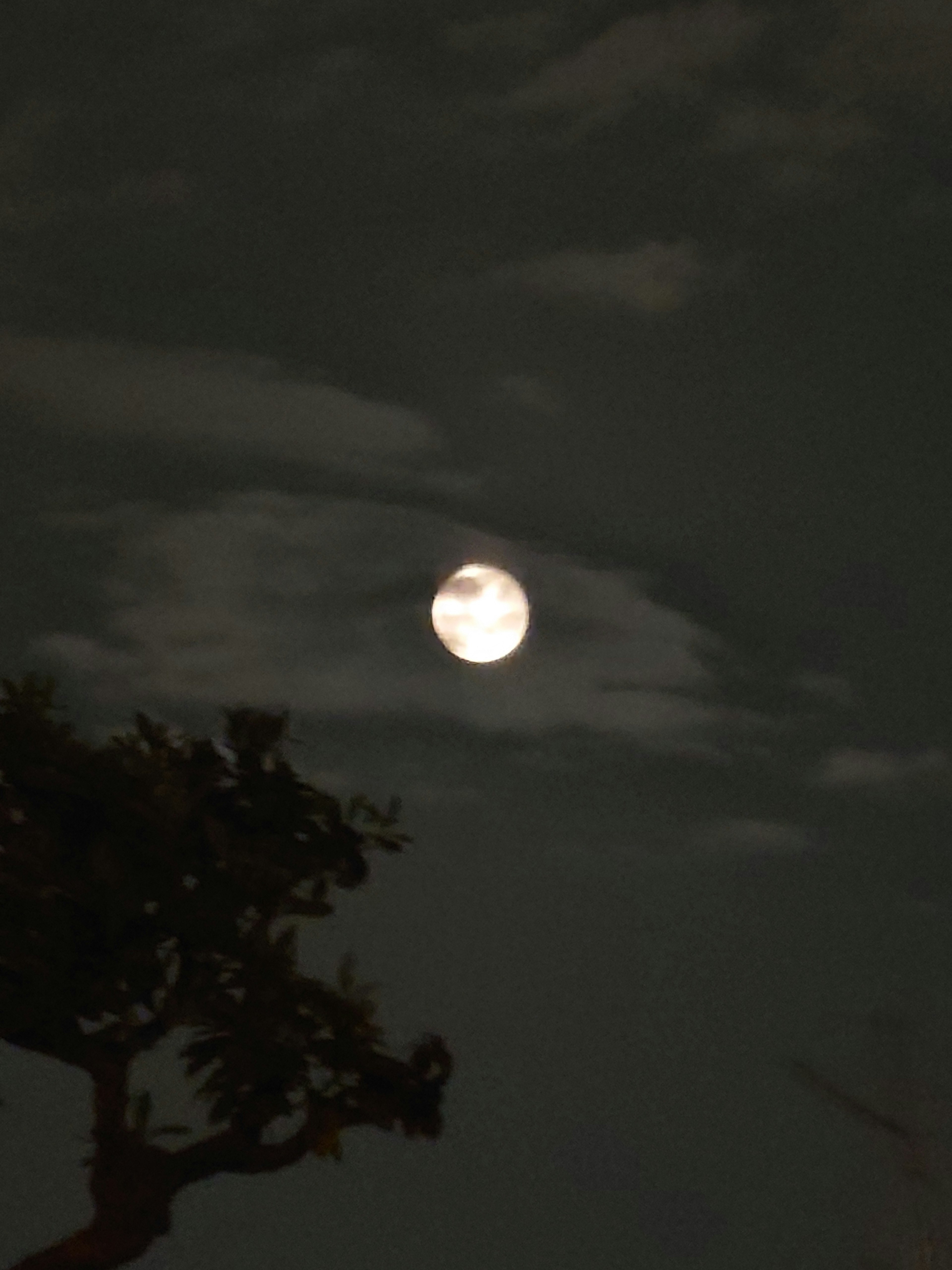 Luna piena nel cielo notturno con nuvole