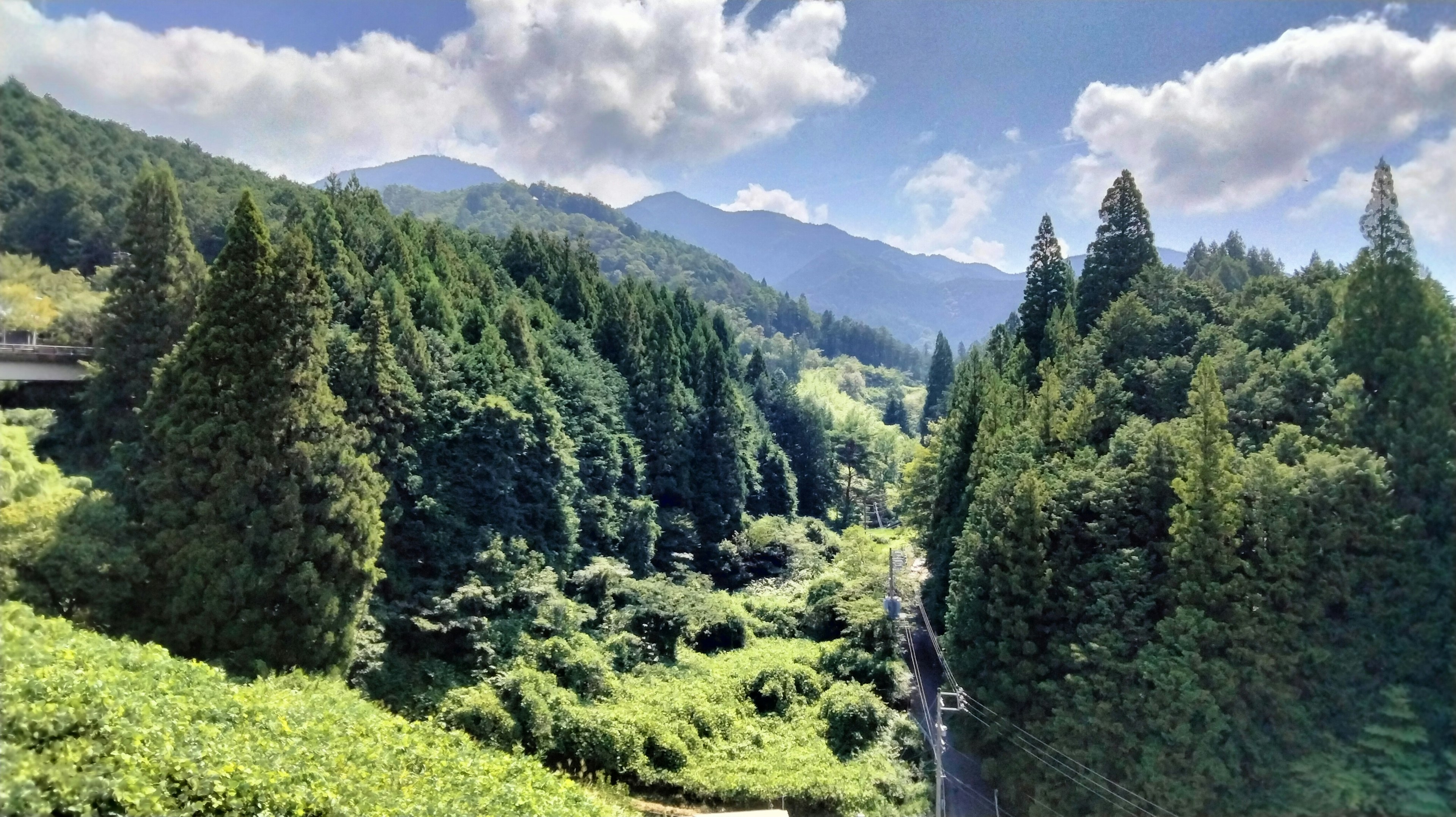 青々とした森と山々の風景が広がる美しい自然の景色