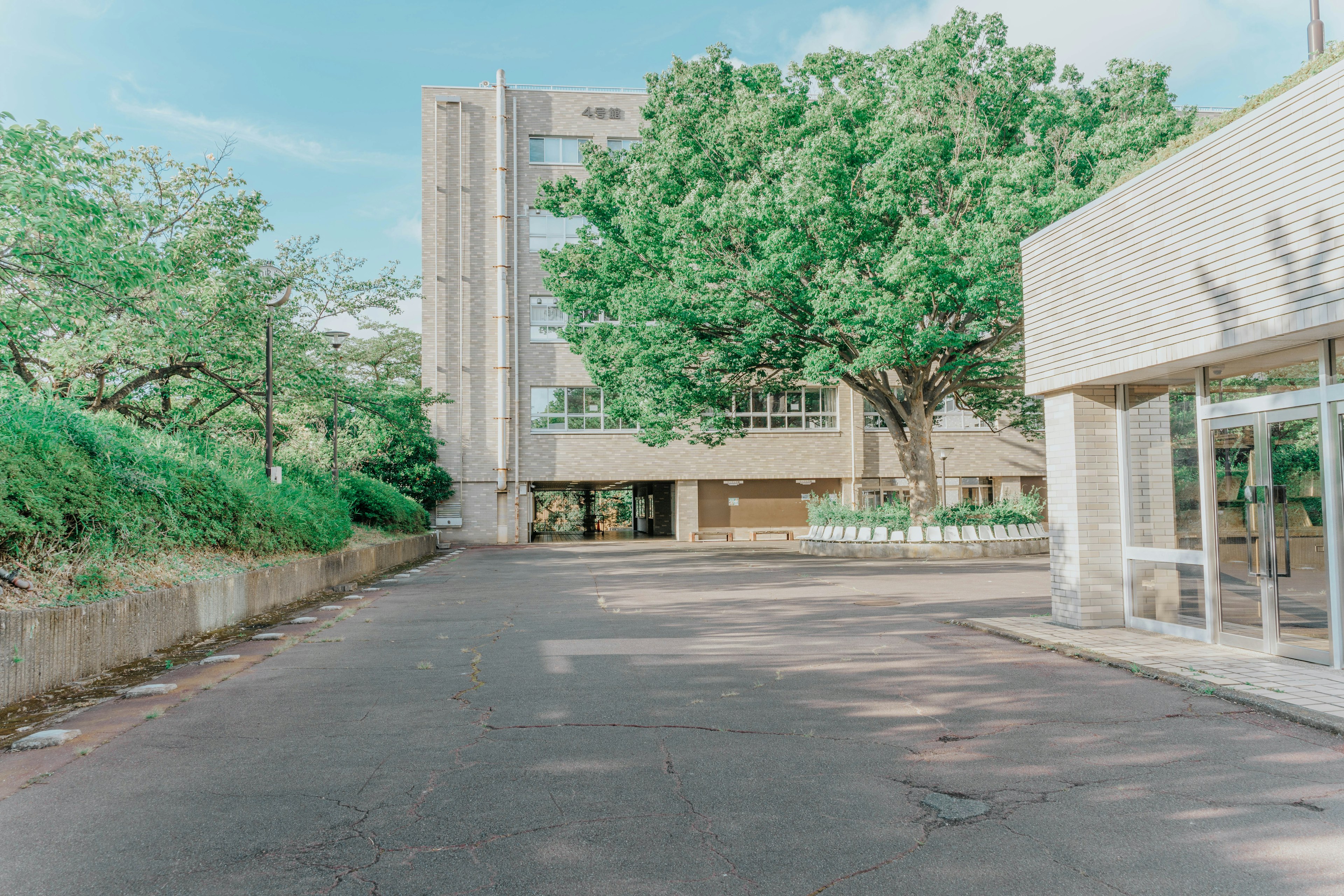 Una escena que presenta un edificio rodeado de árboles verdes y un camino pavimentado