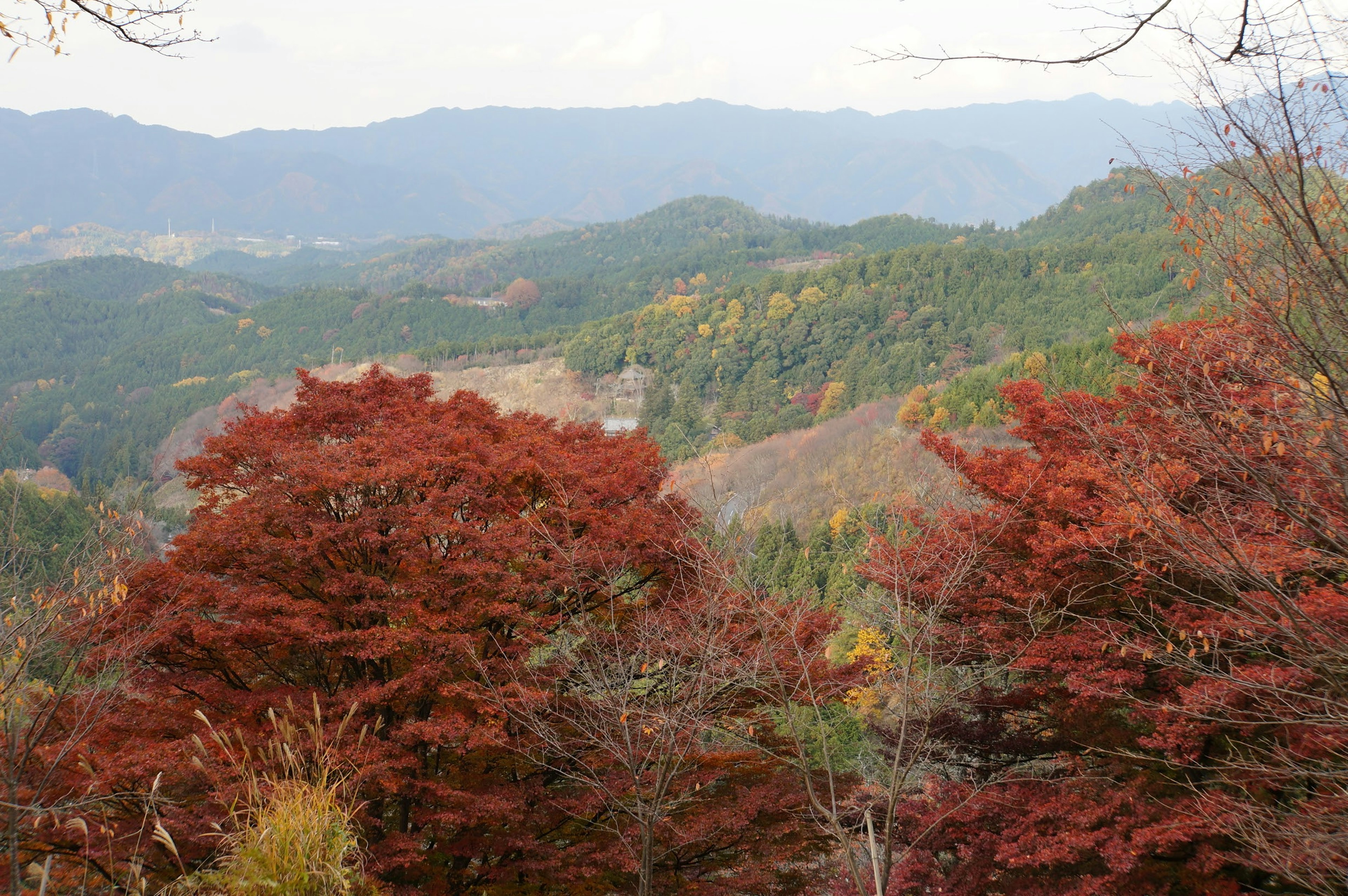 Hermoso paisaje con follaje de otoño y montañas