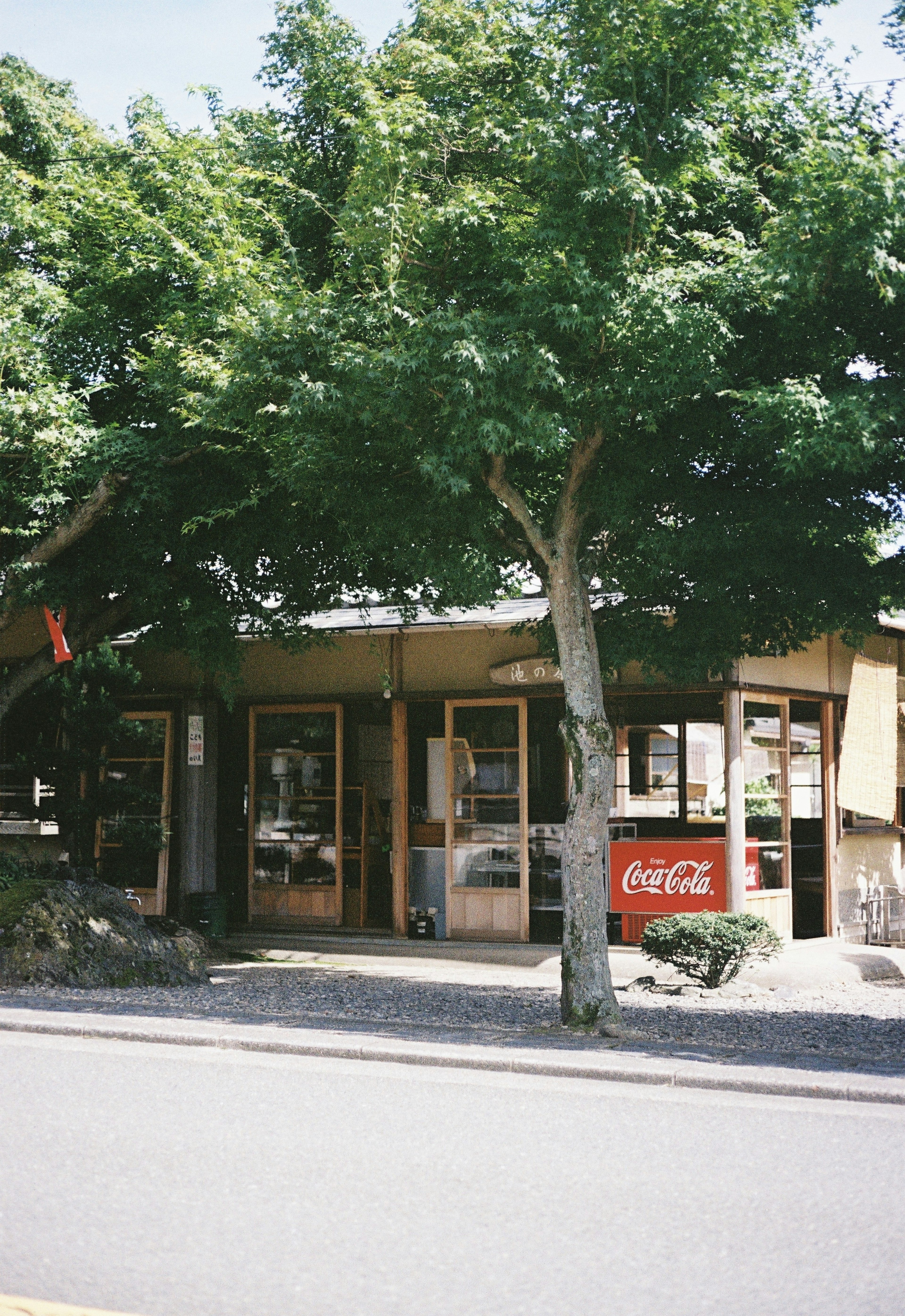 Café-Außenansicht umgeben von Bäumen mit Coca-Cola-Schild