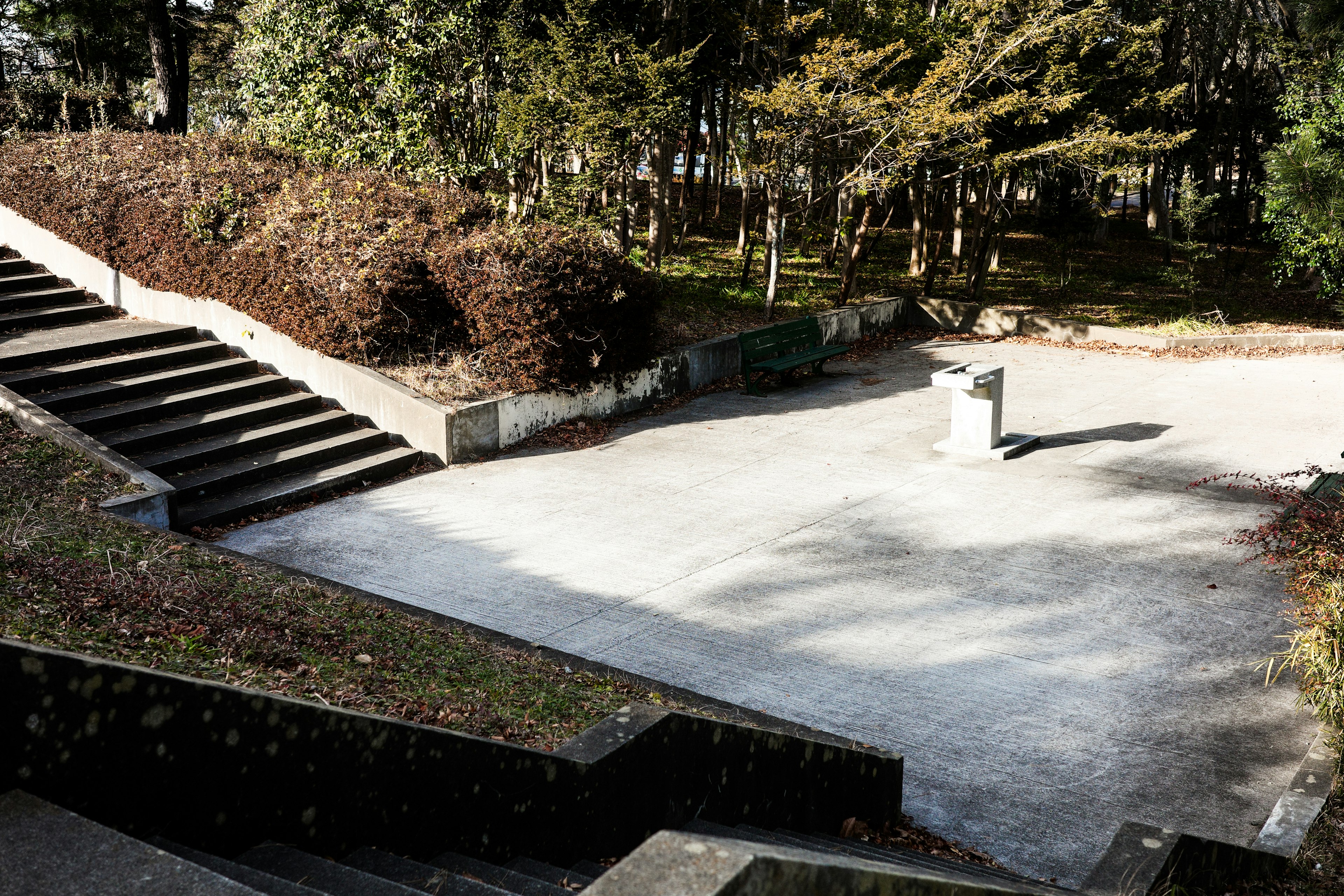 Concrete plaza surrounded by trees with stairs leading up