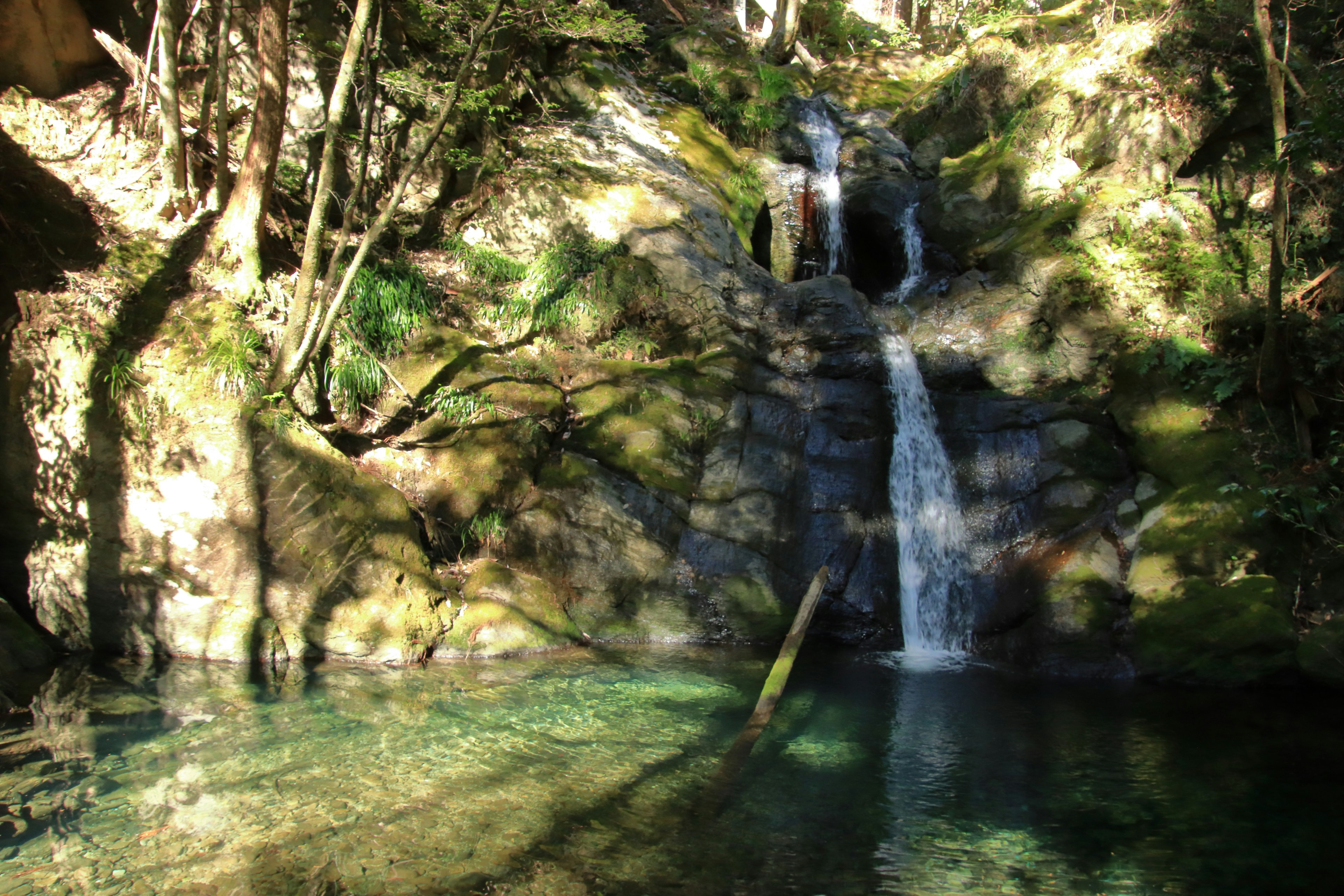 静かな滝と緑豊かな森の風景