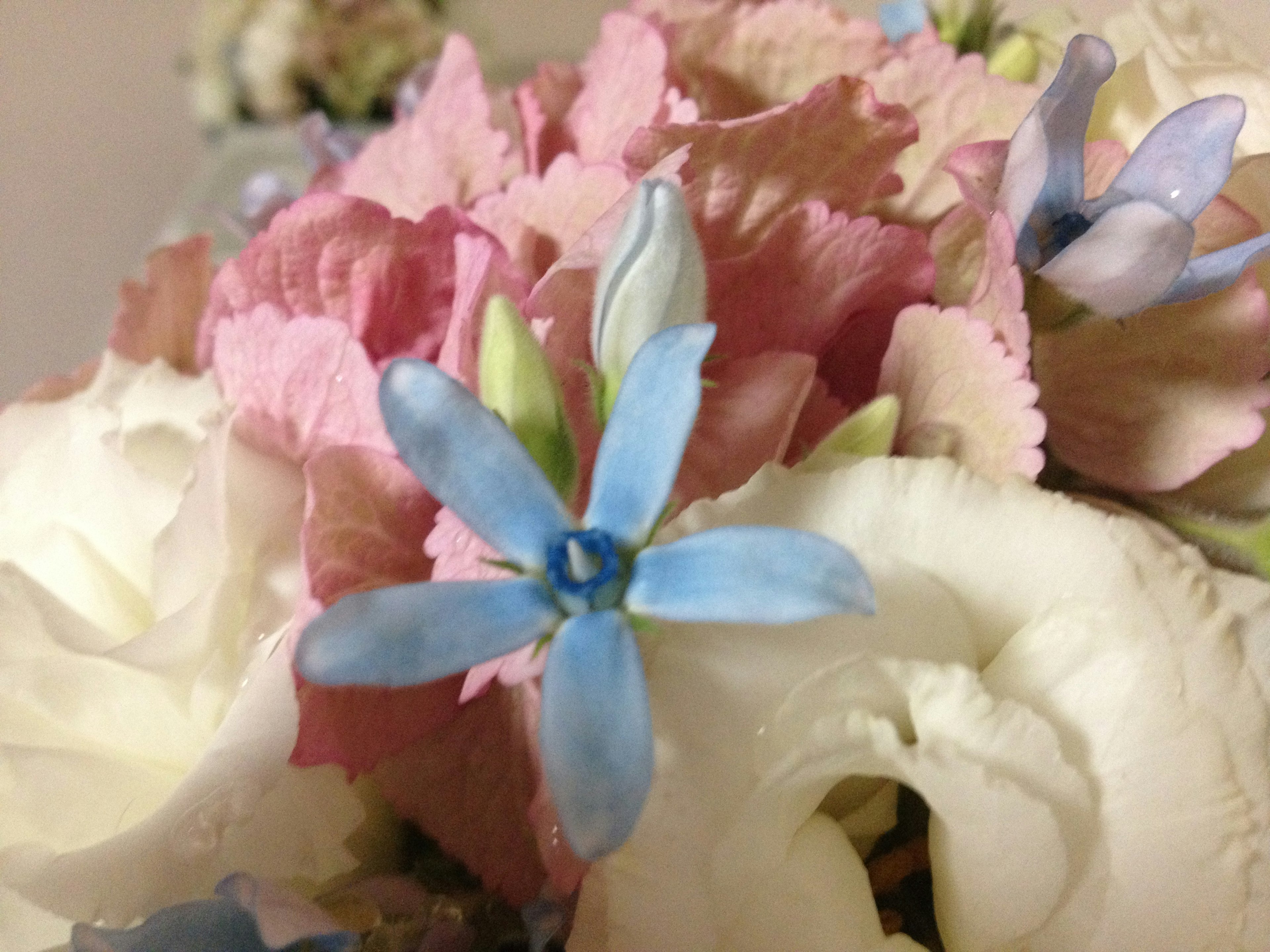 Primo piano di un fiore blu e fiori dai colori tenui