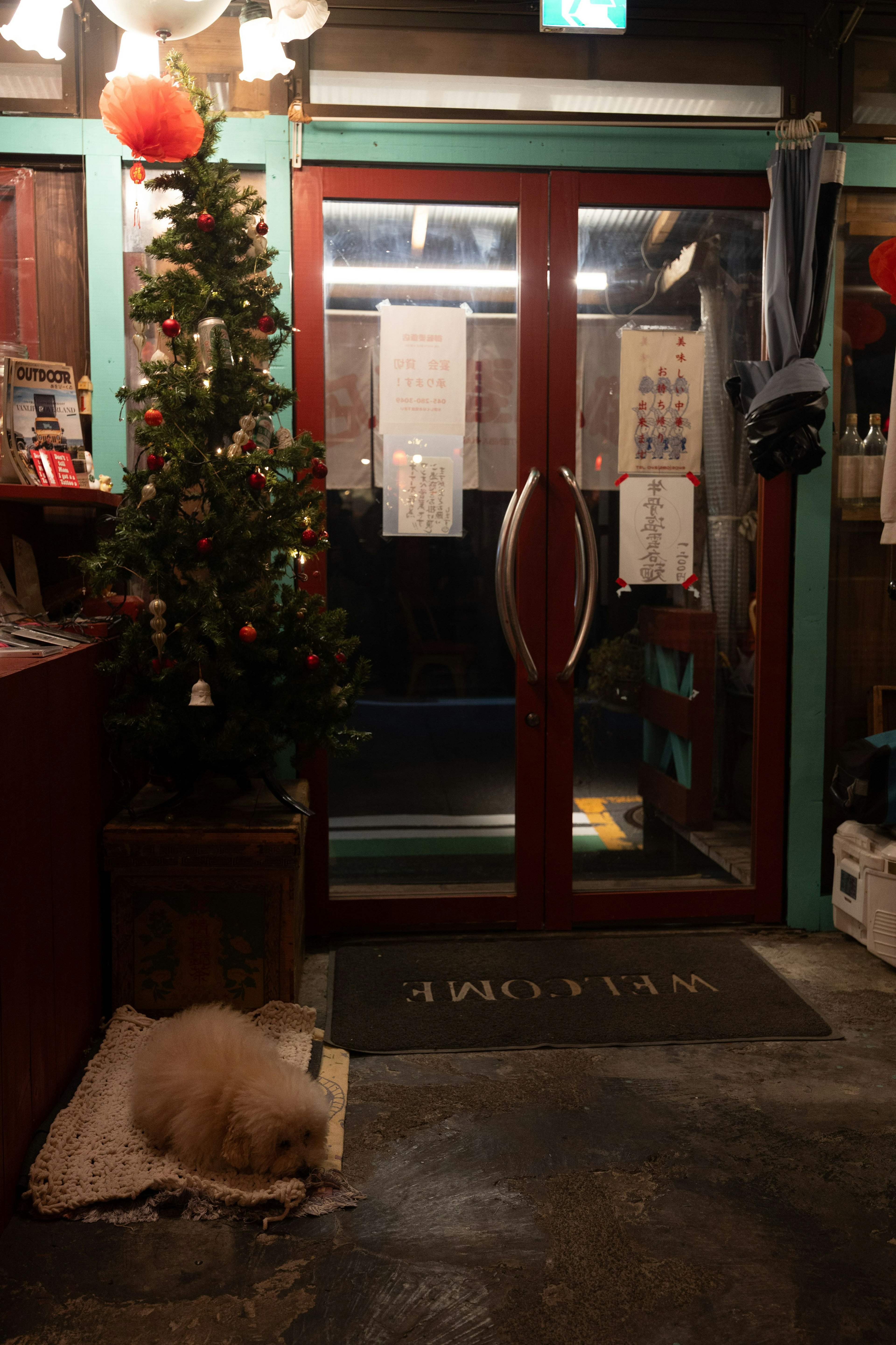 Entrada de una tienda decorada con un árbol de Navidad y un perro durmiendo frente a ella
