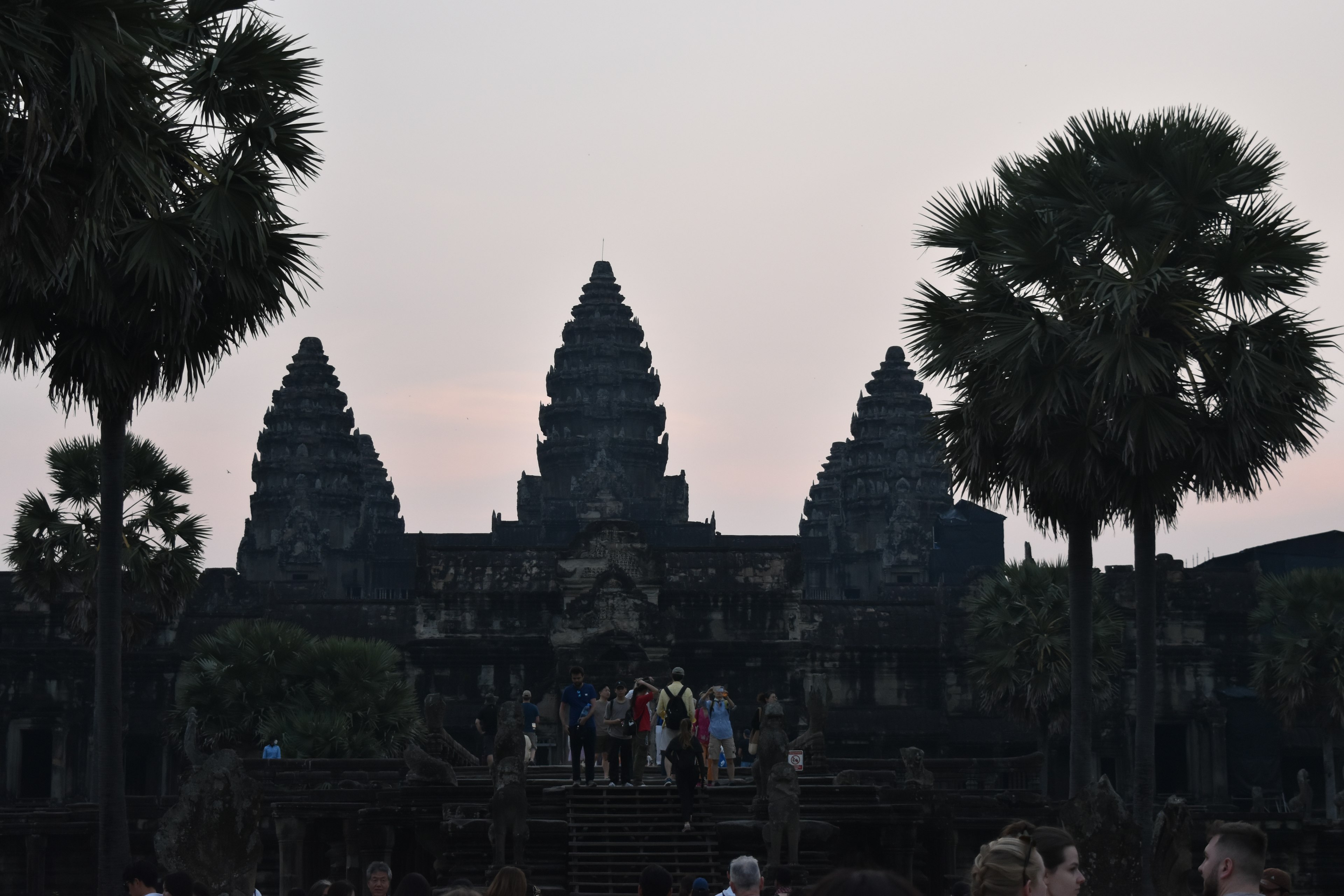 Silhouette of Angkor Wat with palm trees at dusk