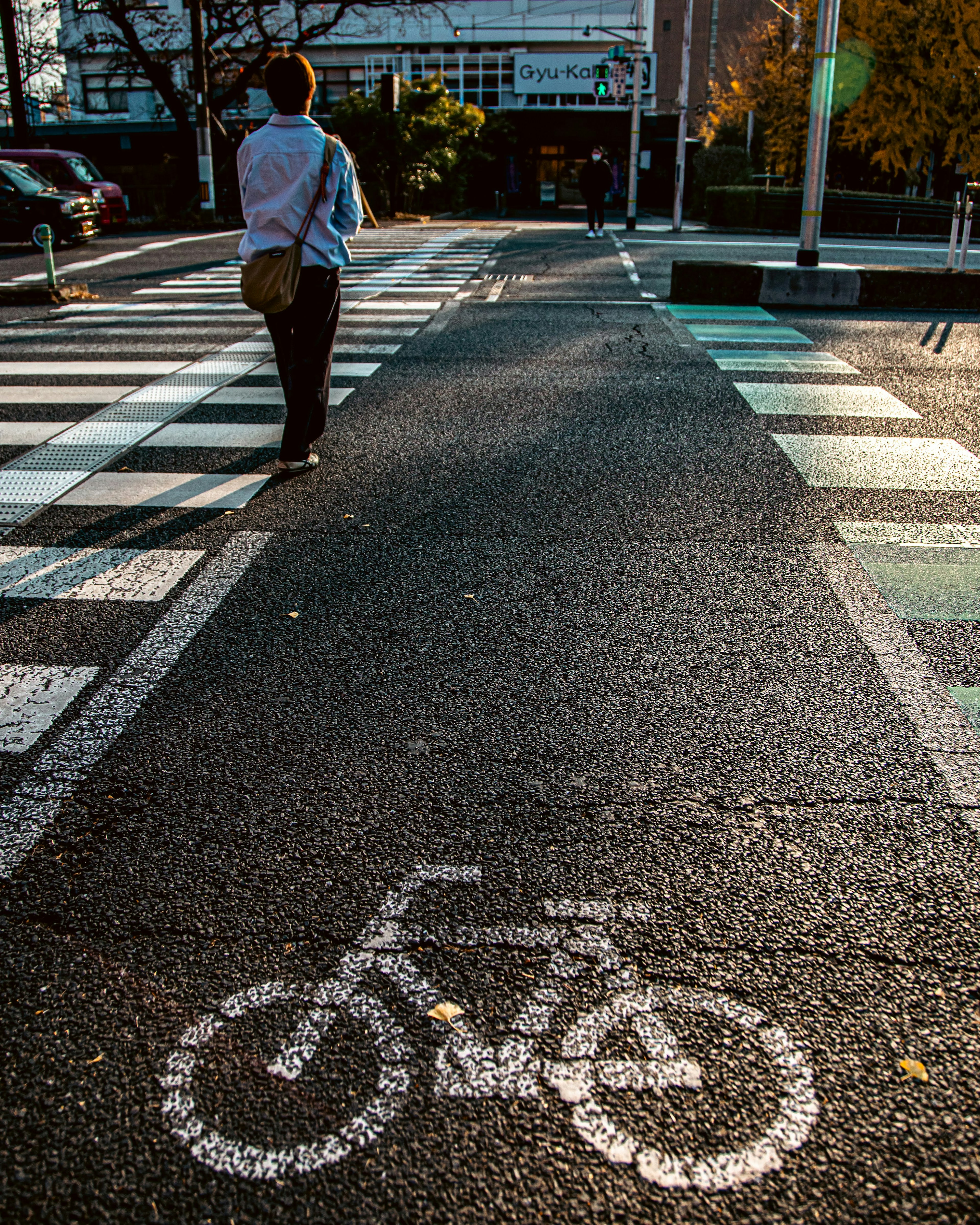 Eine Person, die auf einem Zebrastreifen mit einem Fahrradsymbol auf dem Gehweg geht