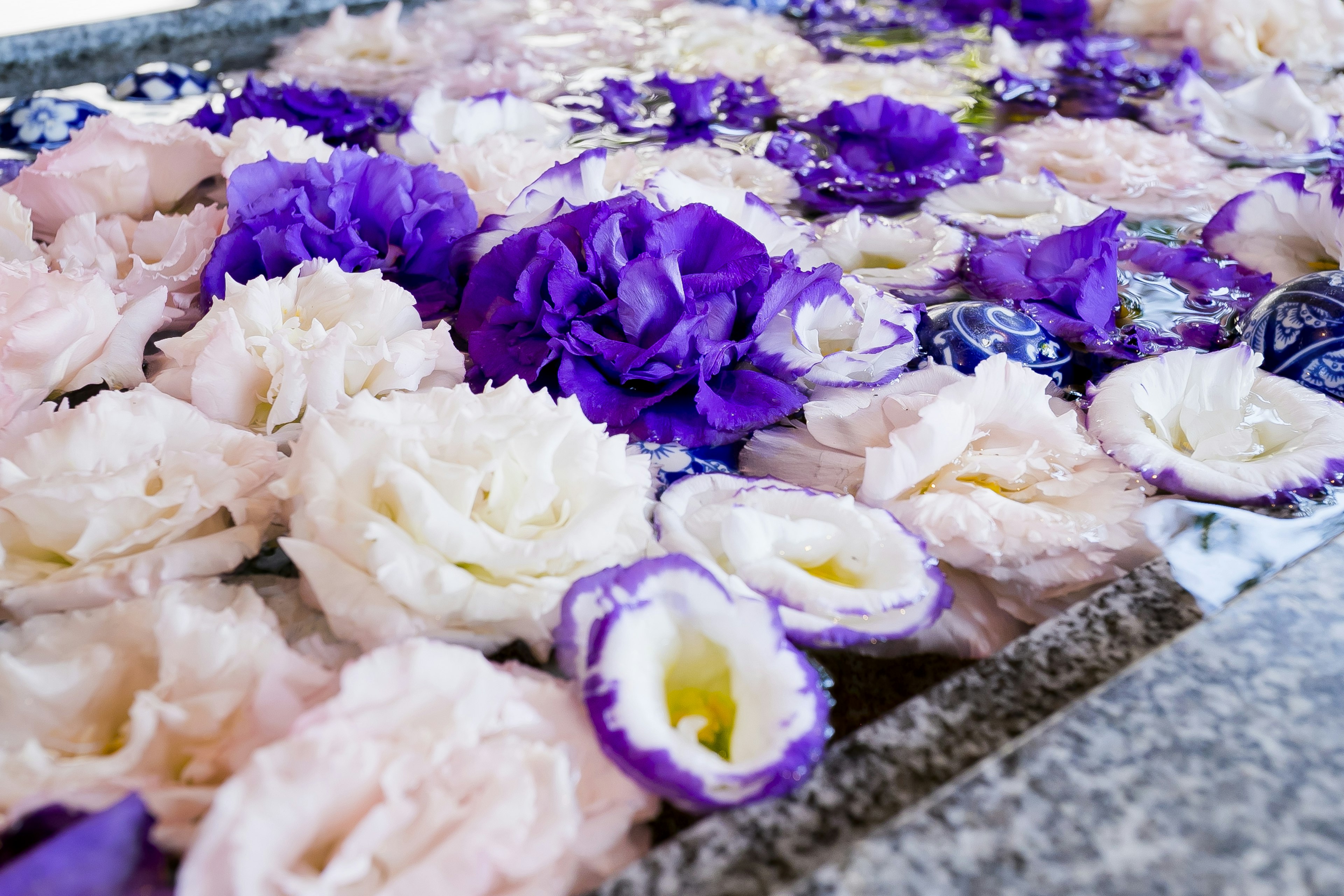 Hermoso arreglo de flores rosas y moradas flotando sobre el agua