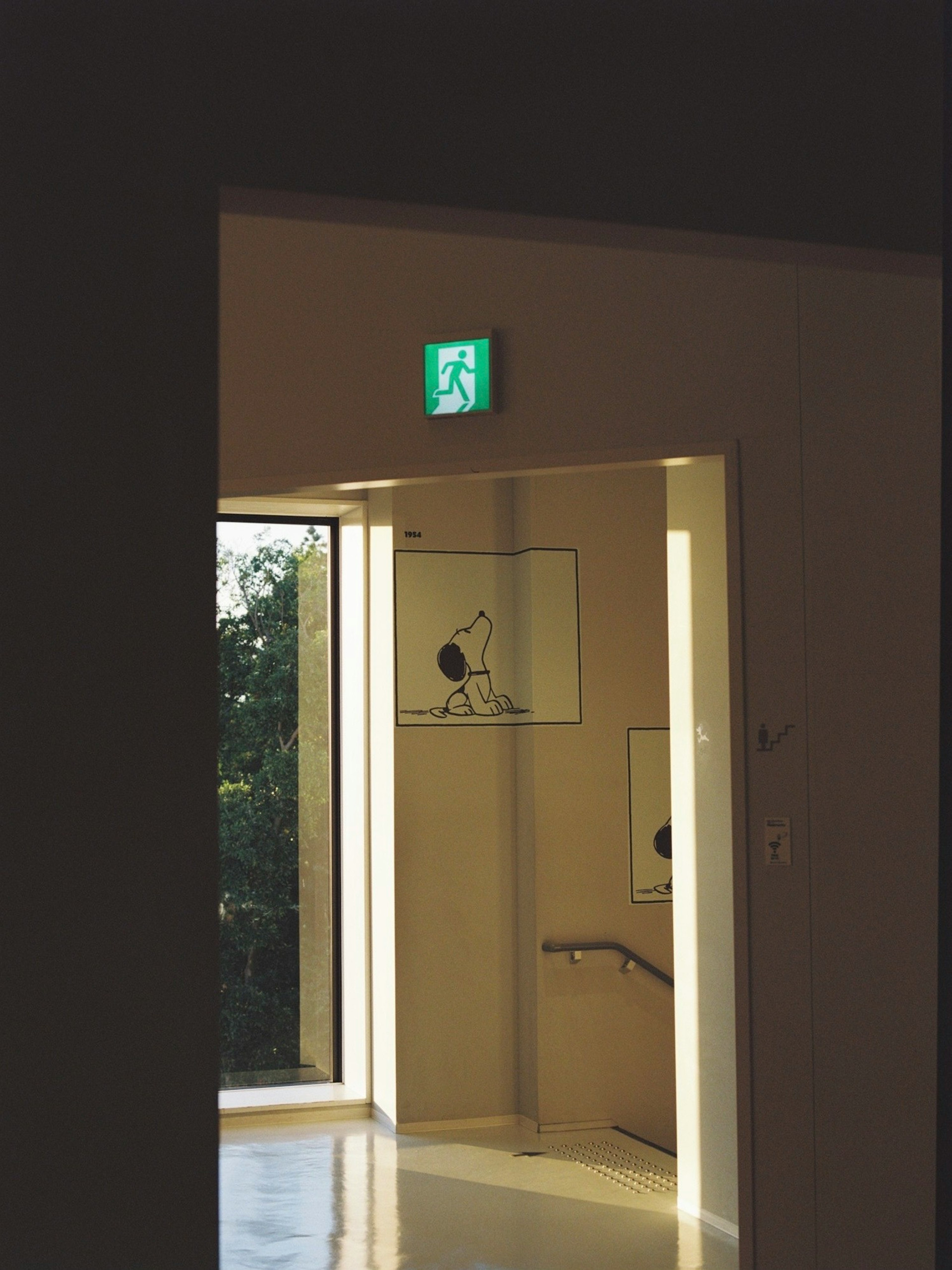 Photo of a door with a bright exit sign, visible greenery outside