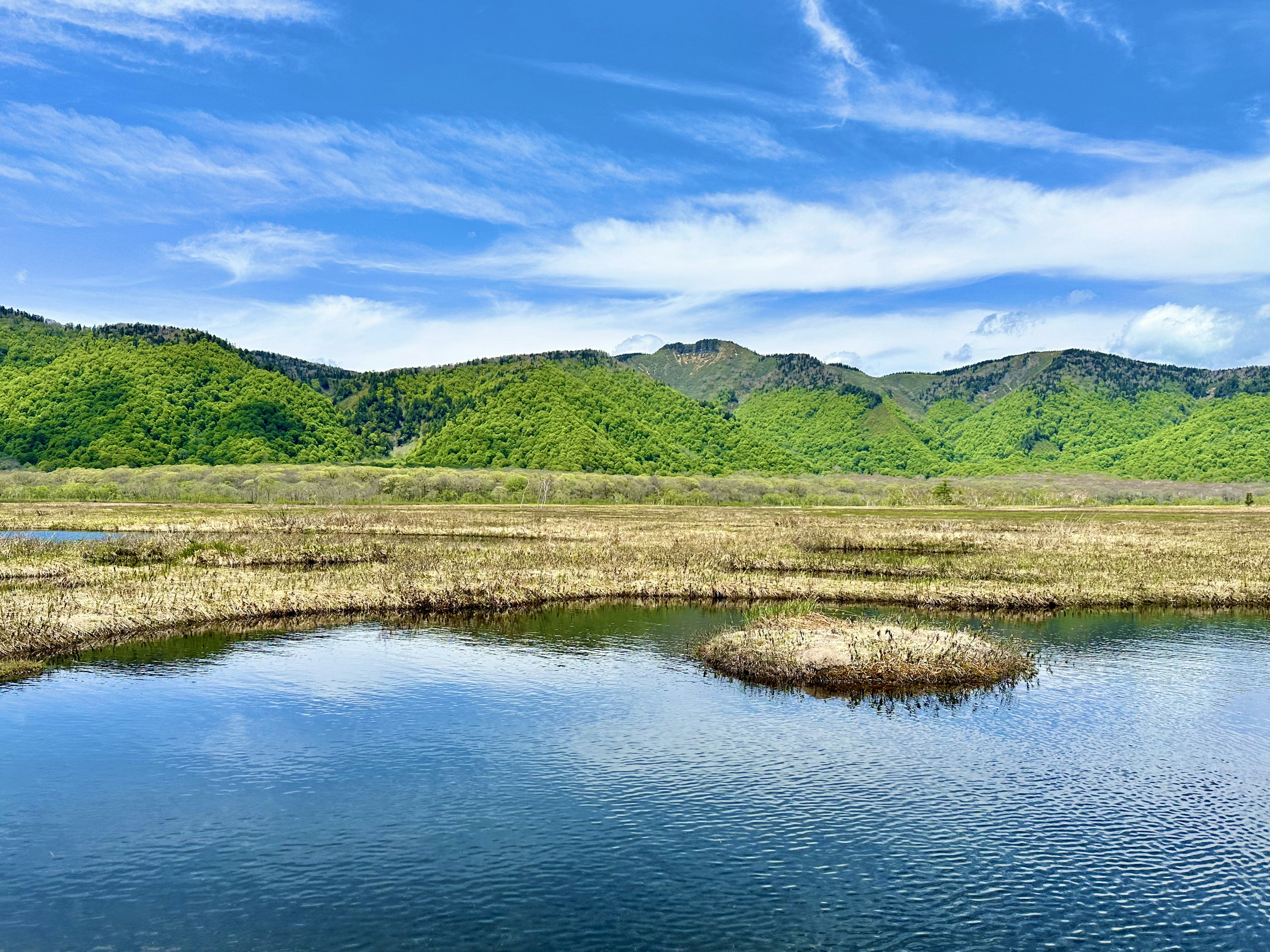 緑の山々と青い空が広がる湿地の風景 水面に映る自然の美しさ