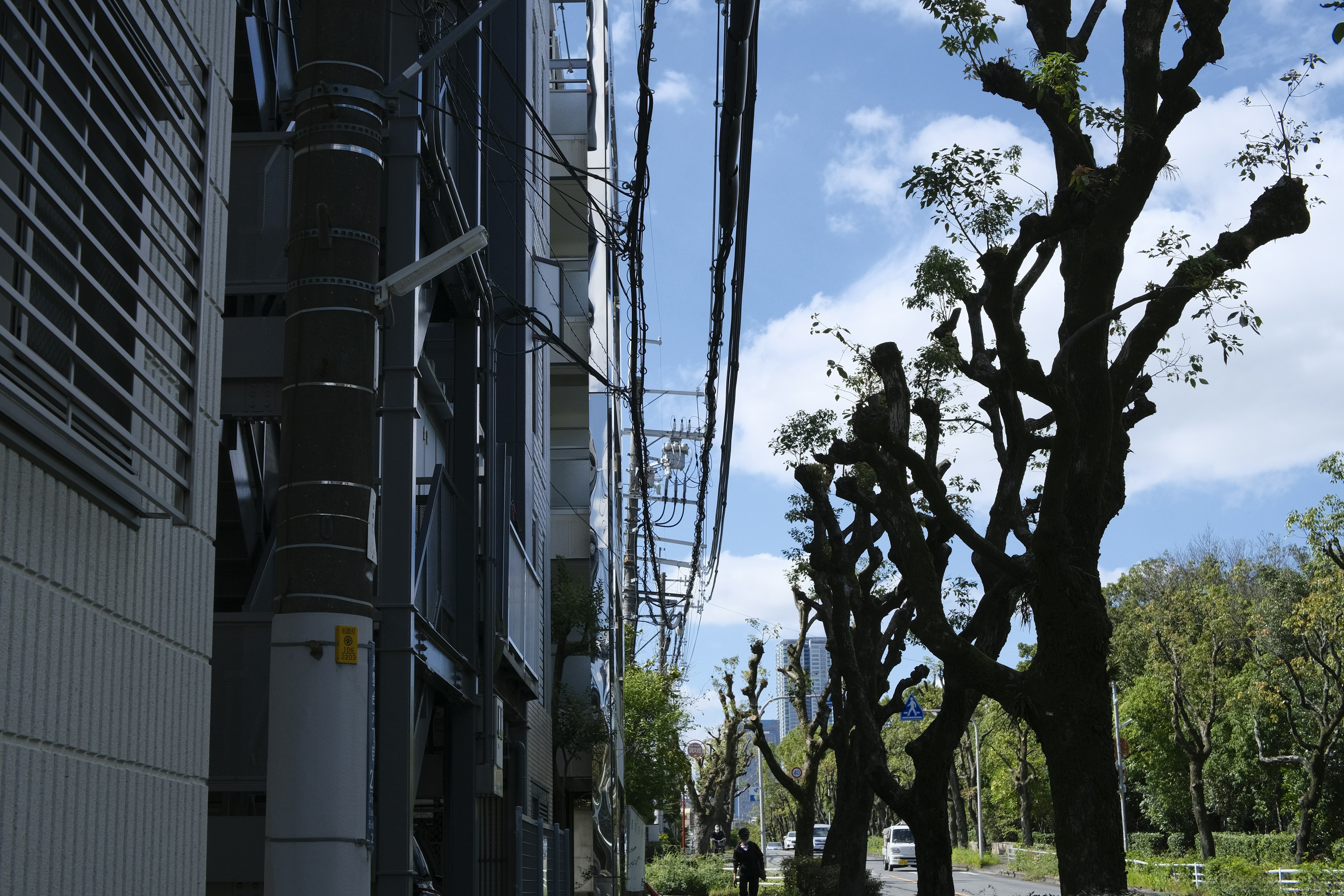 Urban landscape featuring trees and building facade under a blue sky