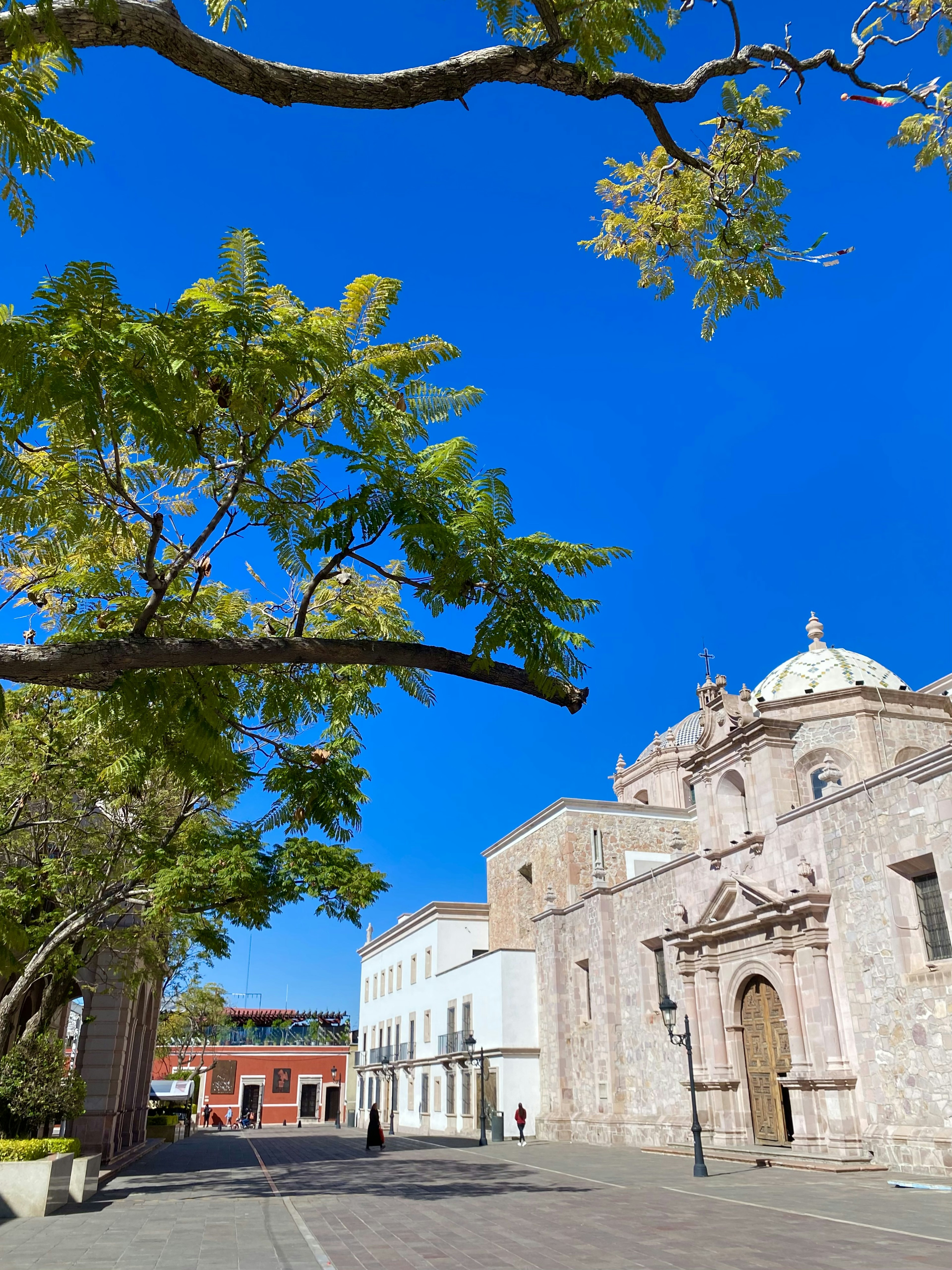 Église historique et arbres sous un ciel bleu clair