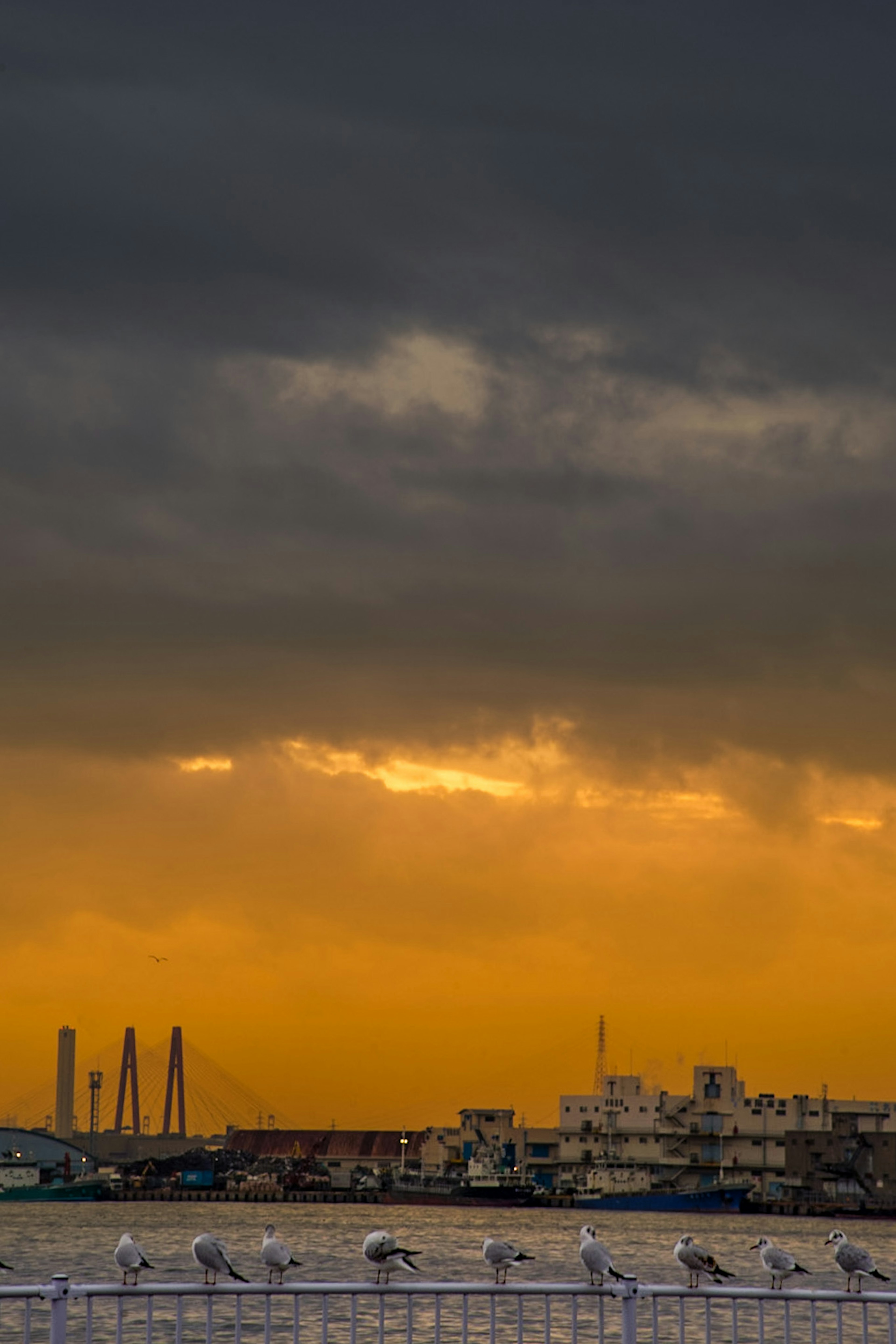 暗い雲とオレンジ色の夕焼けの海岸風景