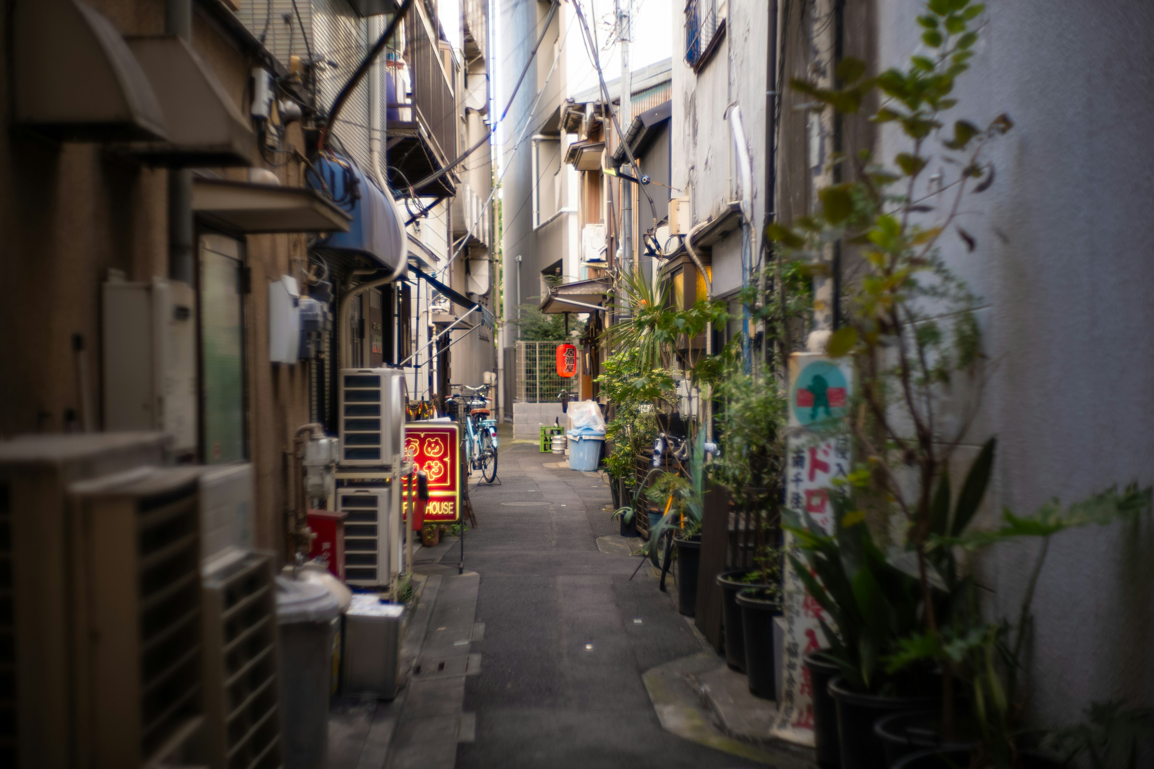 狭い路地に沿った植物と商店の景色