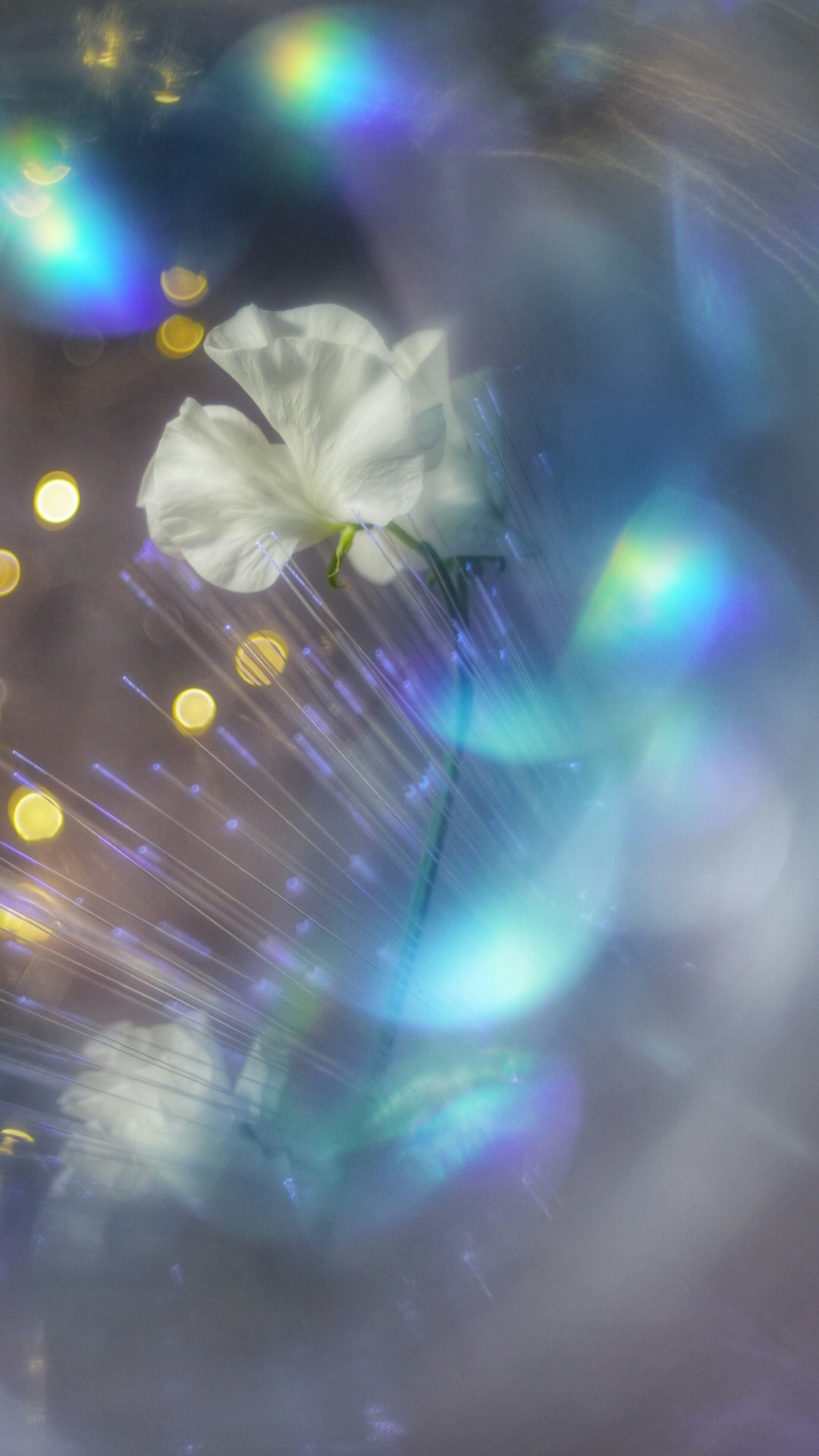 Abstract image featuring a white flower and blurred blue light background