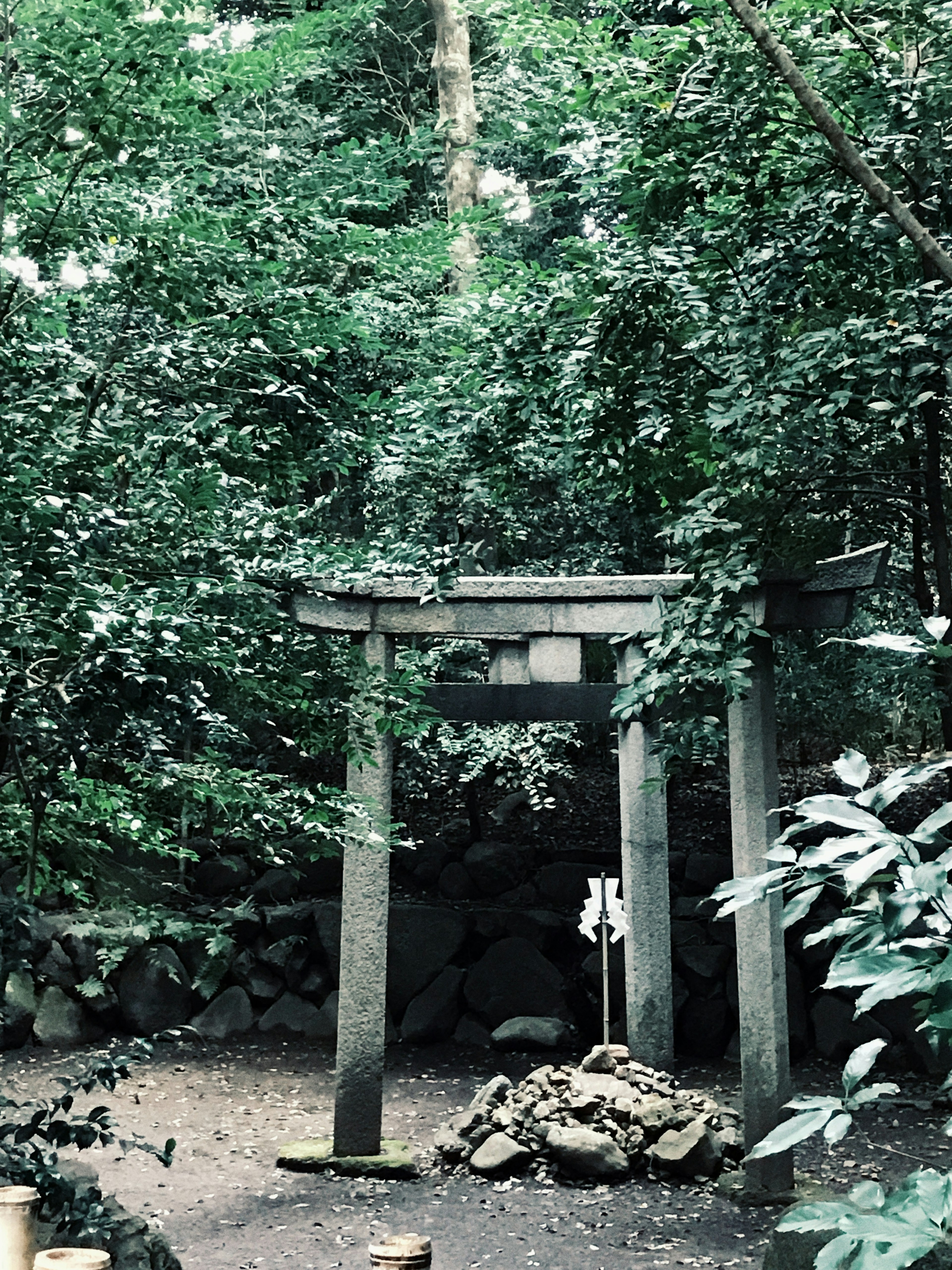 Torii gate and altar surrounded by lush green forest