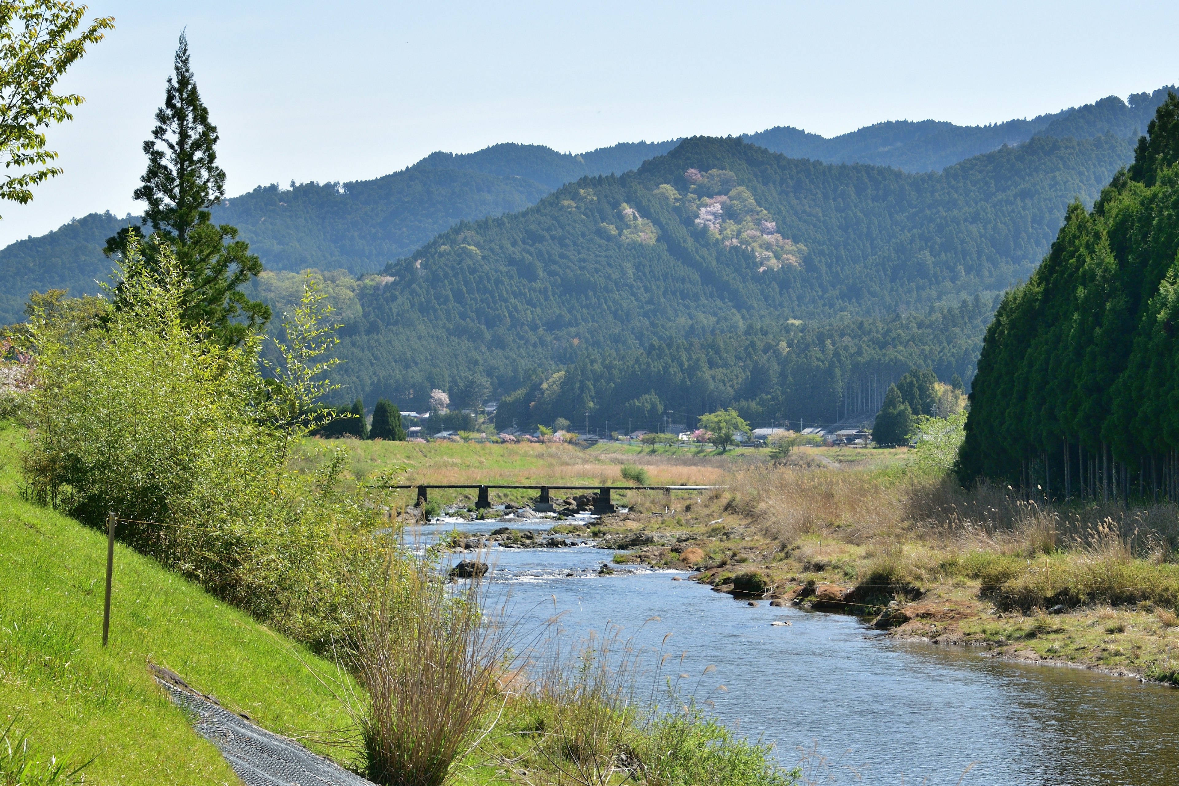 Vista panoramica di un fiume con montagne sullo sfondo erba verde e alberi