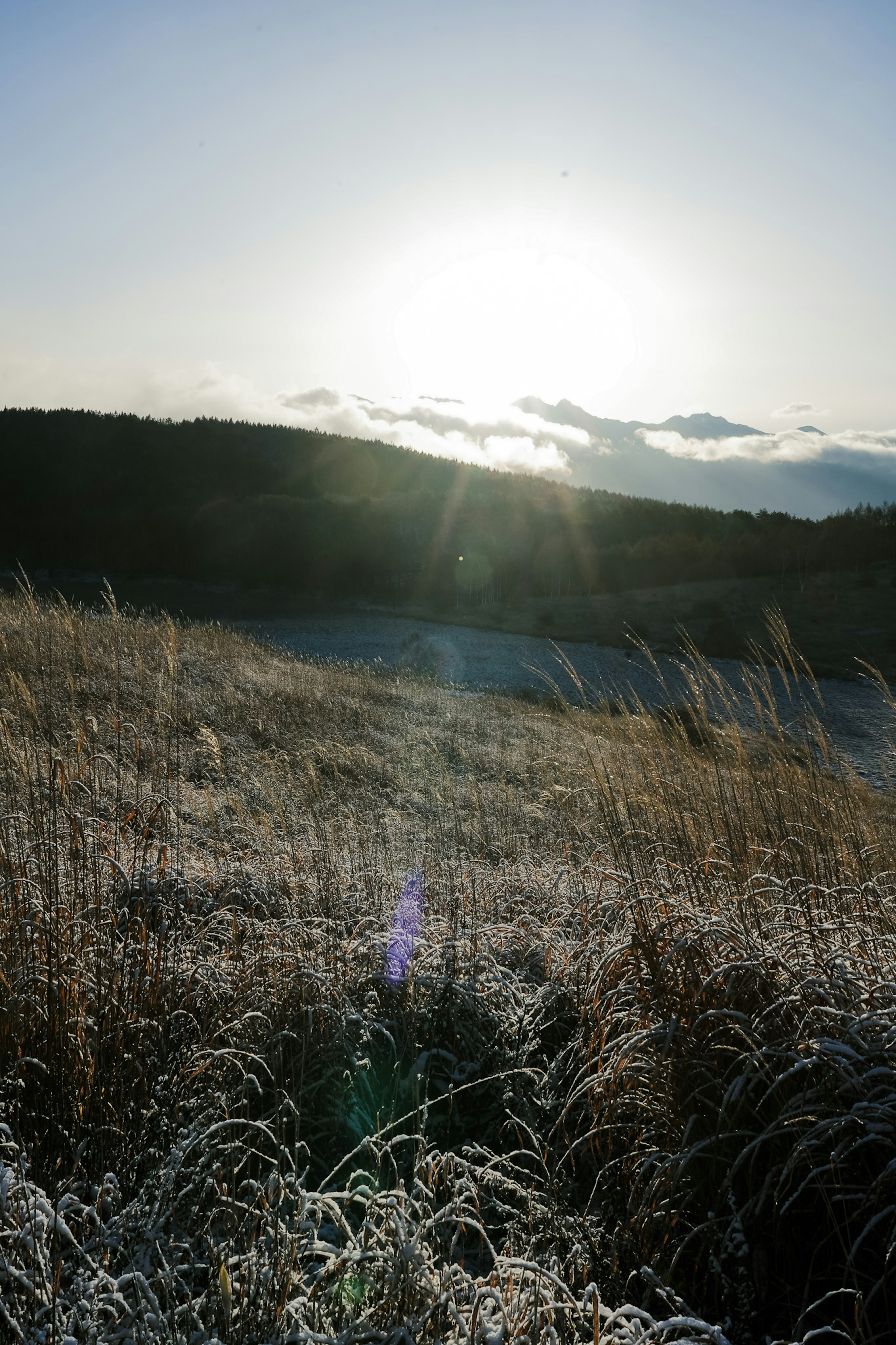 Frostbedeckte Wiese mit aufgehender Sonne