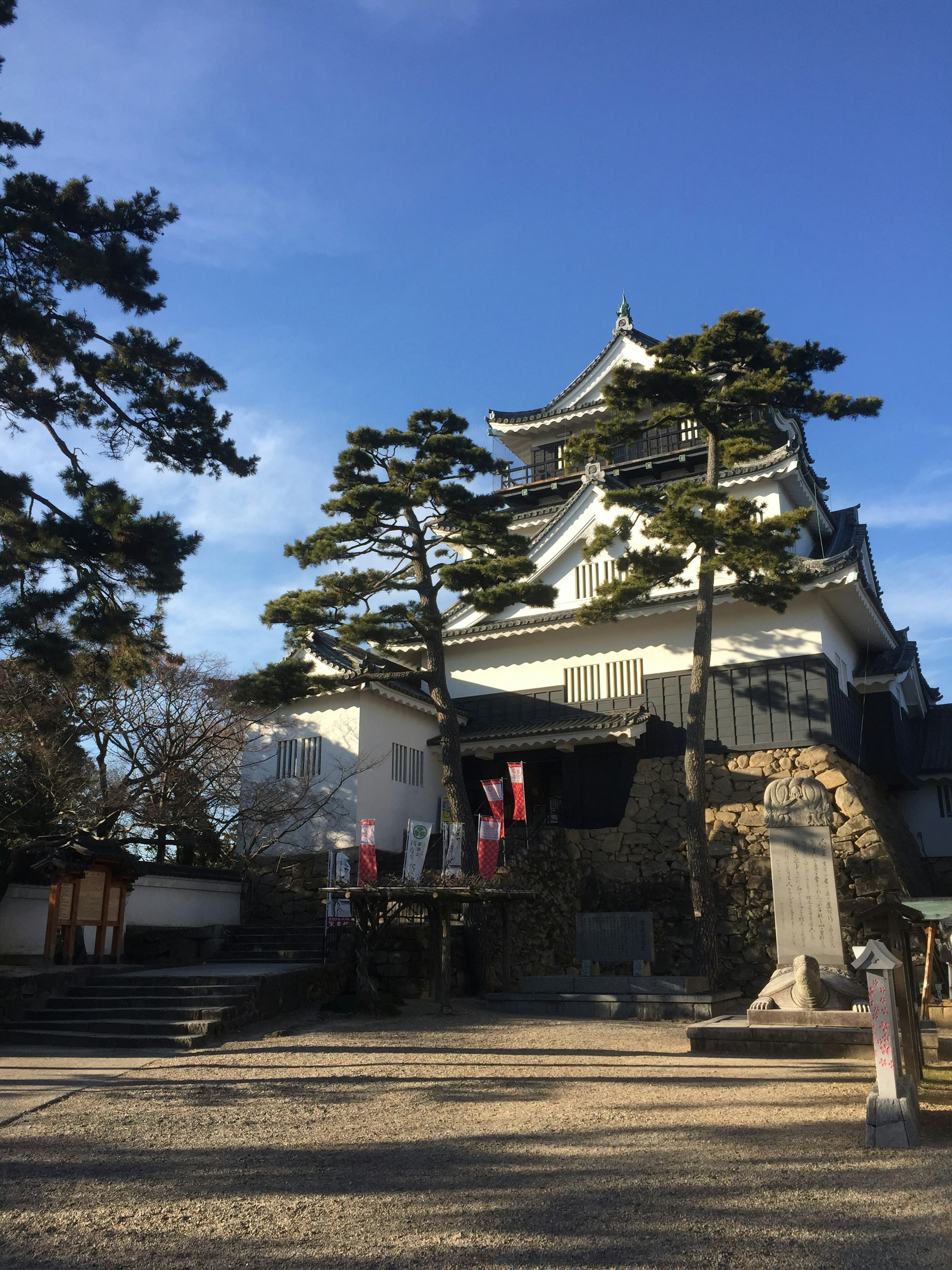 美しい城とその周りの松の木が映る風景