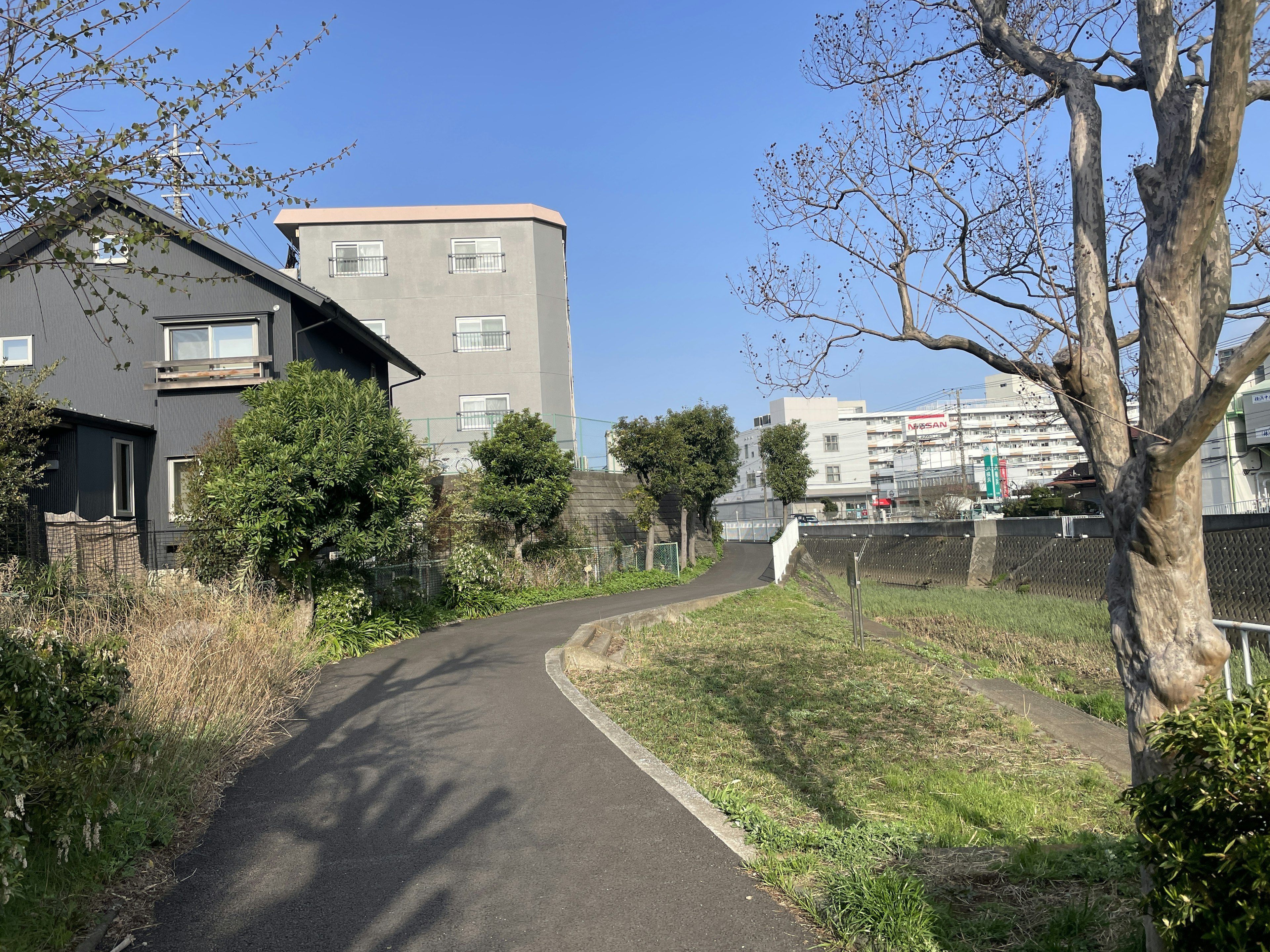 鋪砌的小路被綠色植物環繞，背景有一棟黑色房子和建築