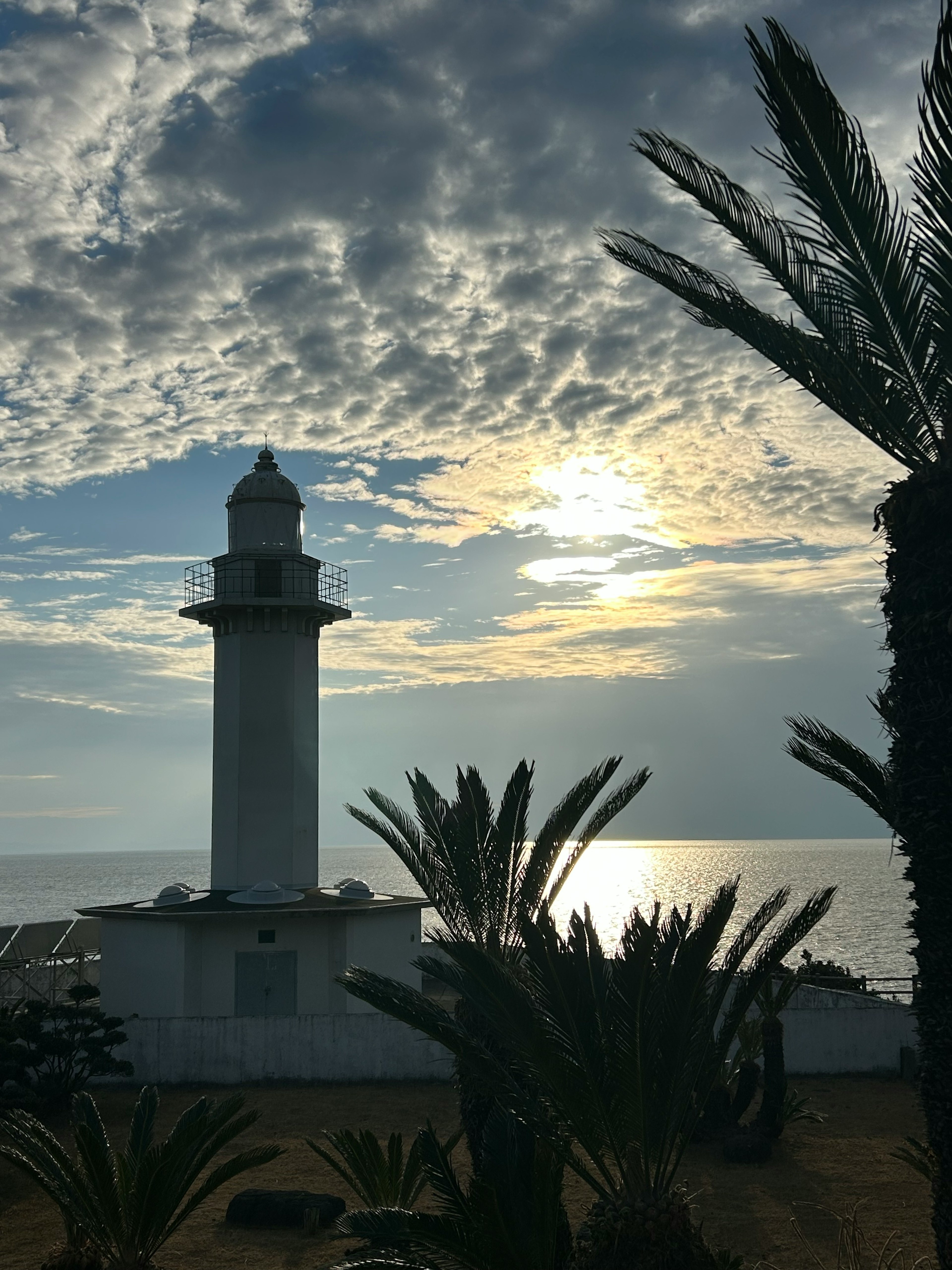 Lighthouse silhouetted against a sunset with palm trees