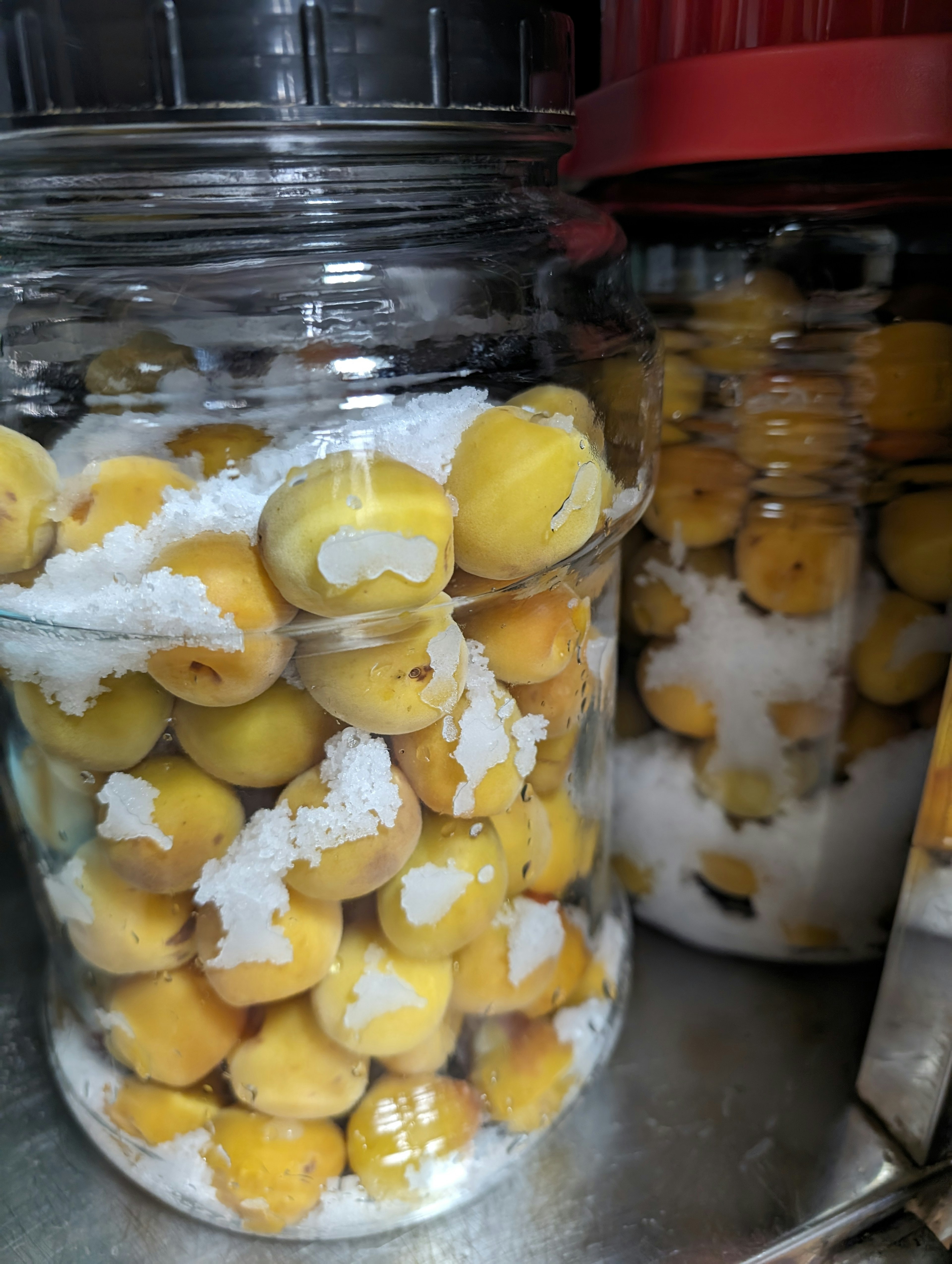 Jars filled with salted yellow plums