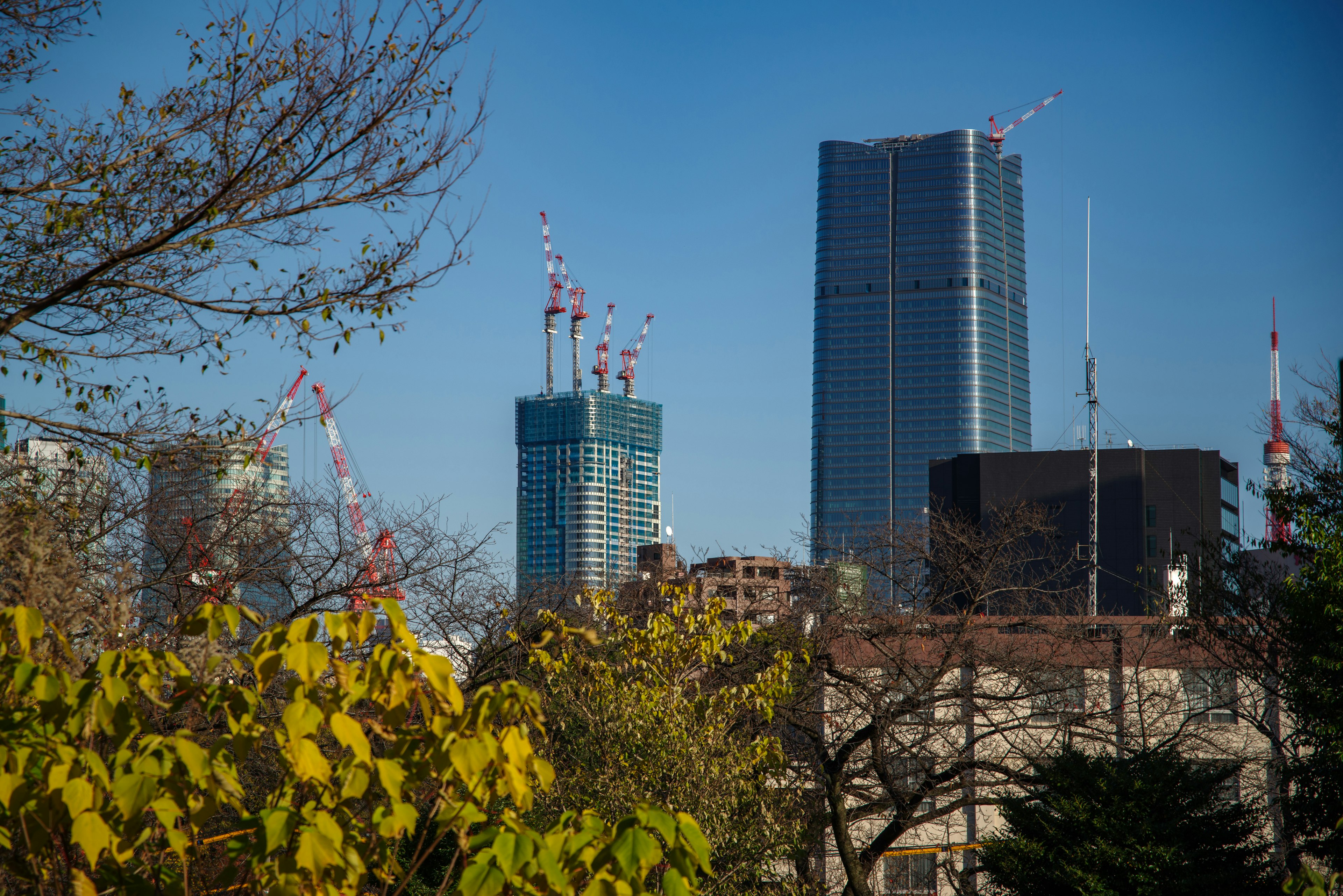 City skyline featuring skyscrapers and construction cranes