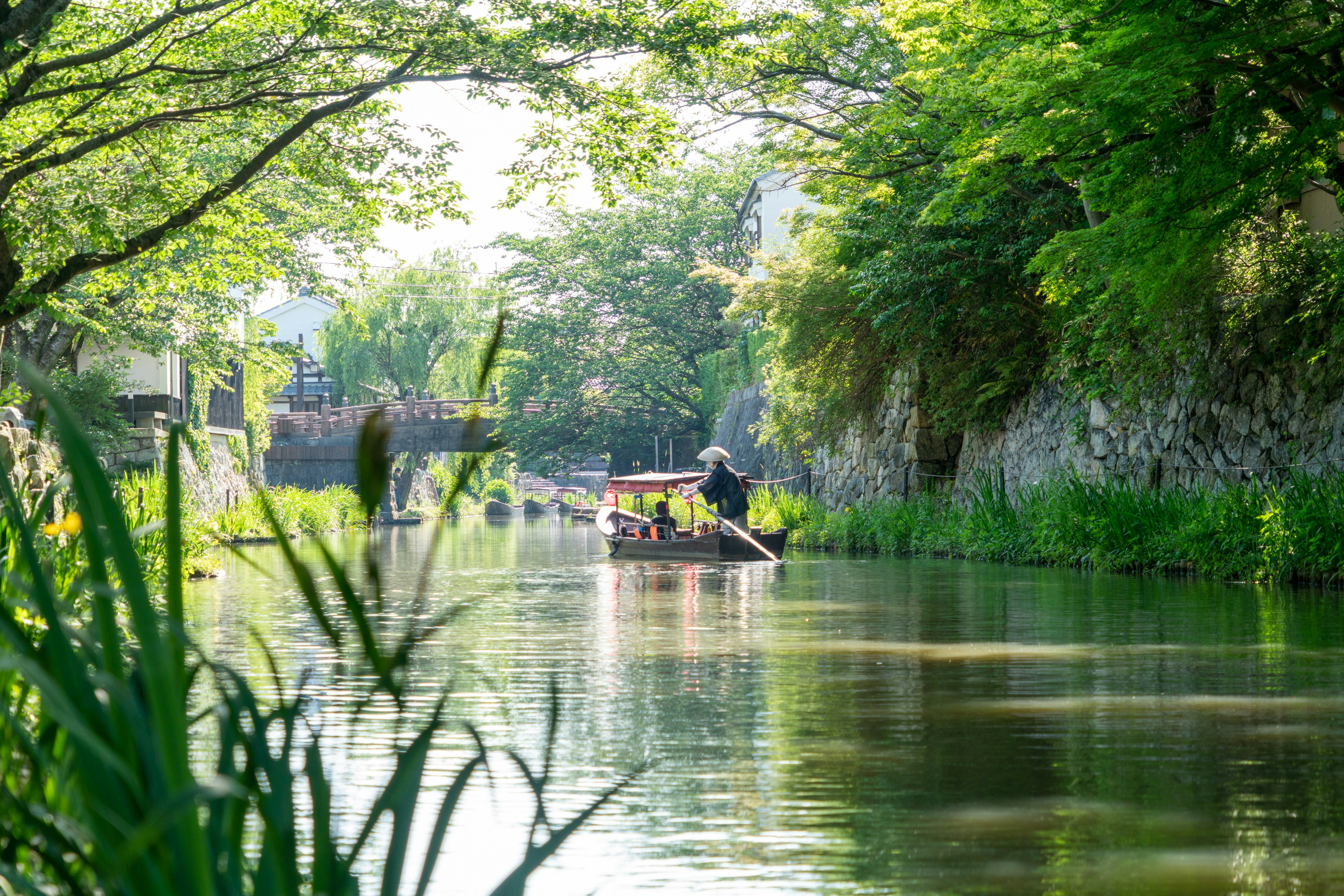 Un bote flotando en un río tranquilo rodeado de vegetación exuberante