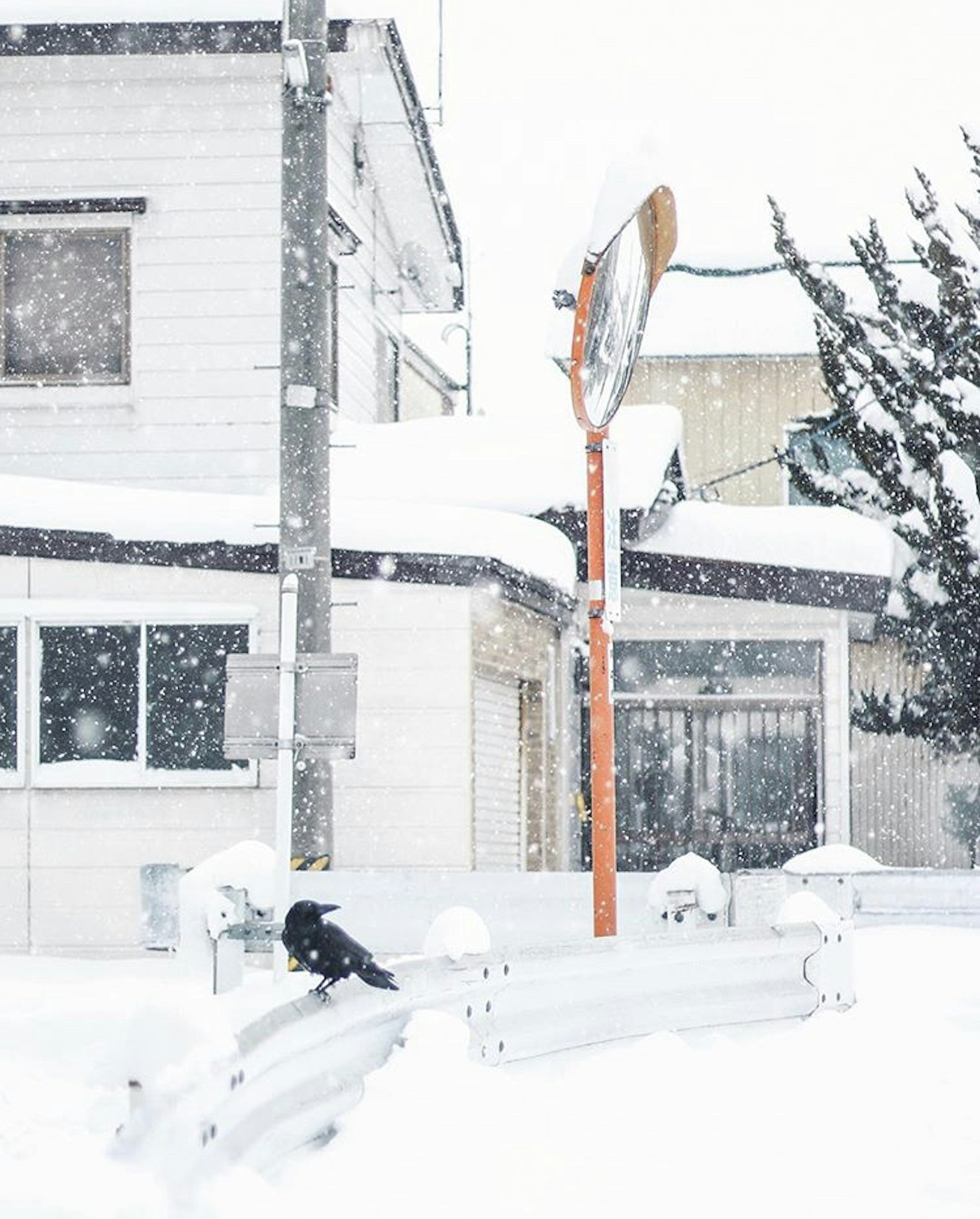 雪に覆われた街角に佇む黒い鳥と時計