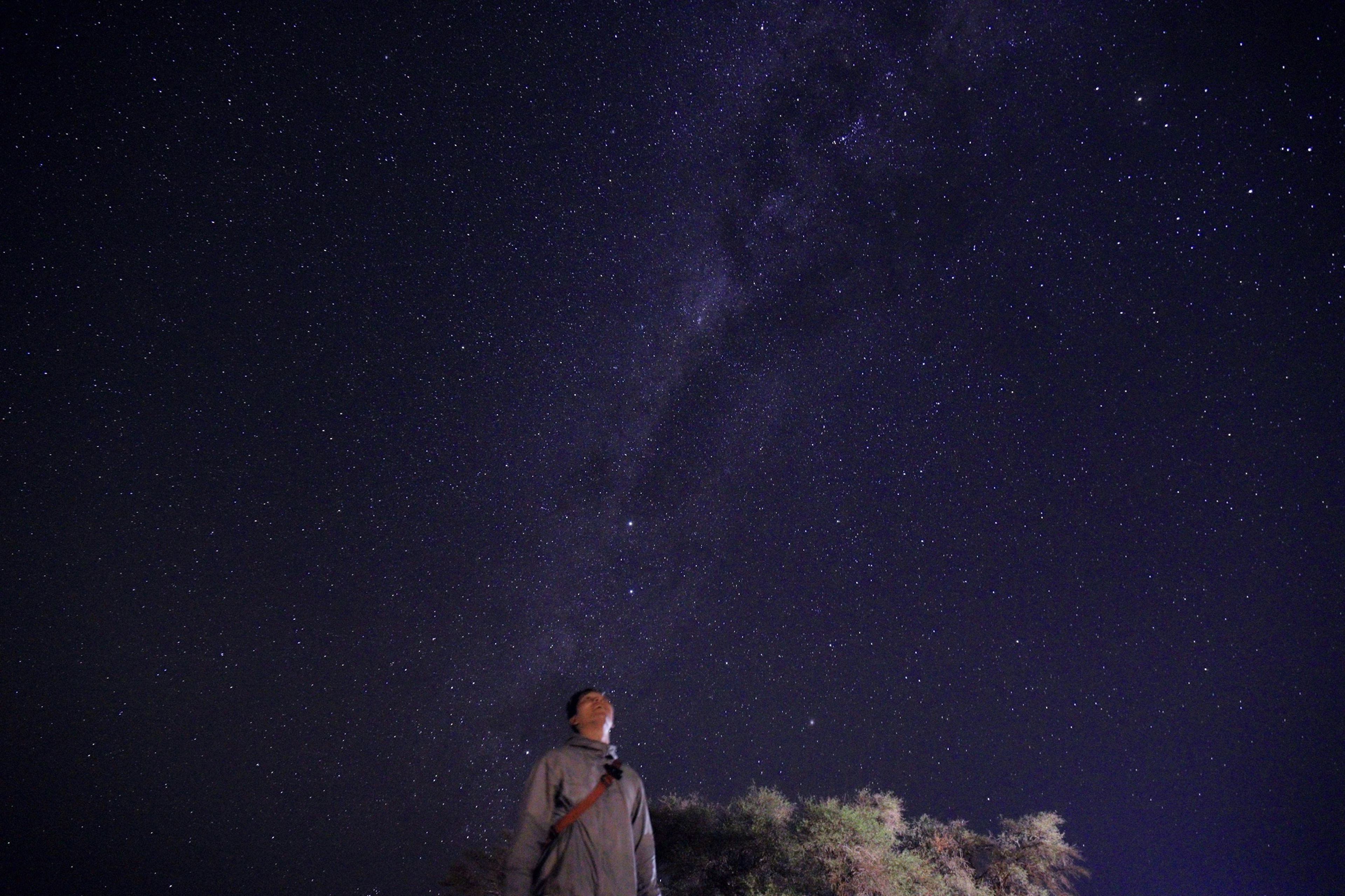 星空の下に立つ人物と多くの星々