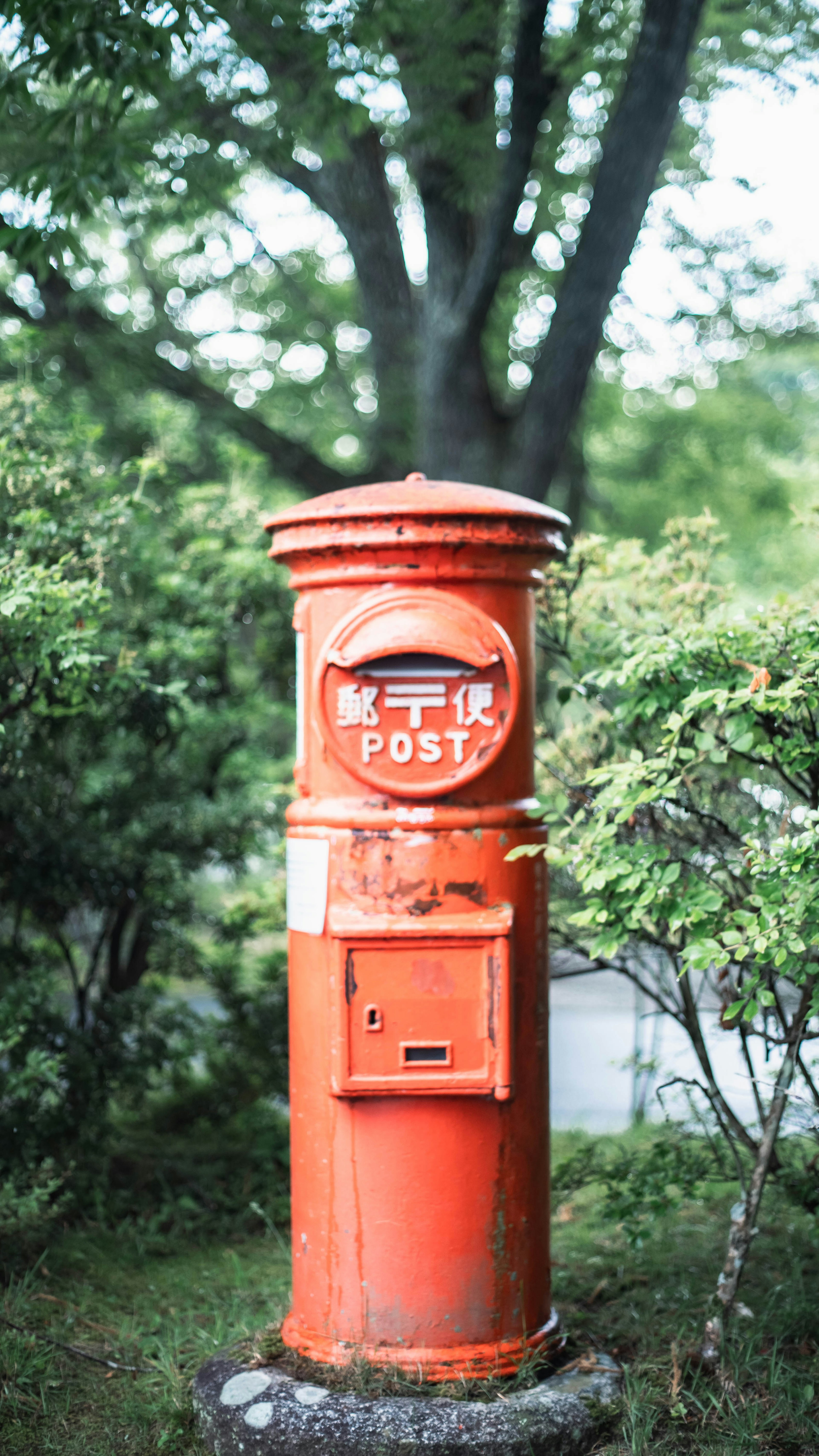 Une boîte aux lettres rouge se tient parmi des arbres verts