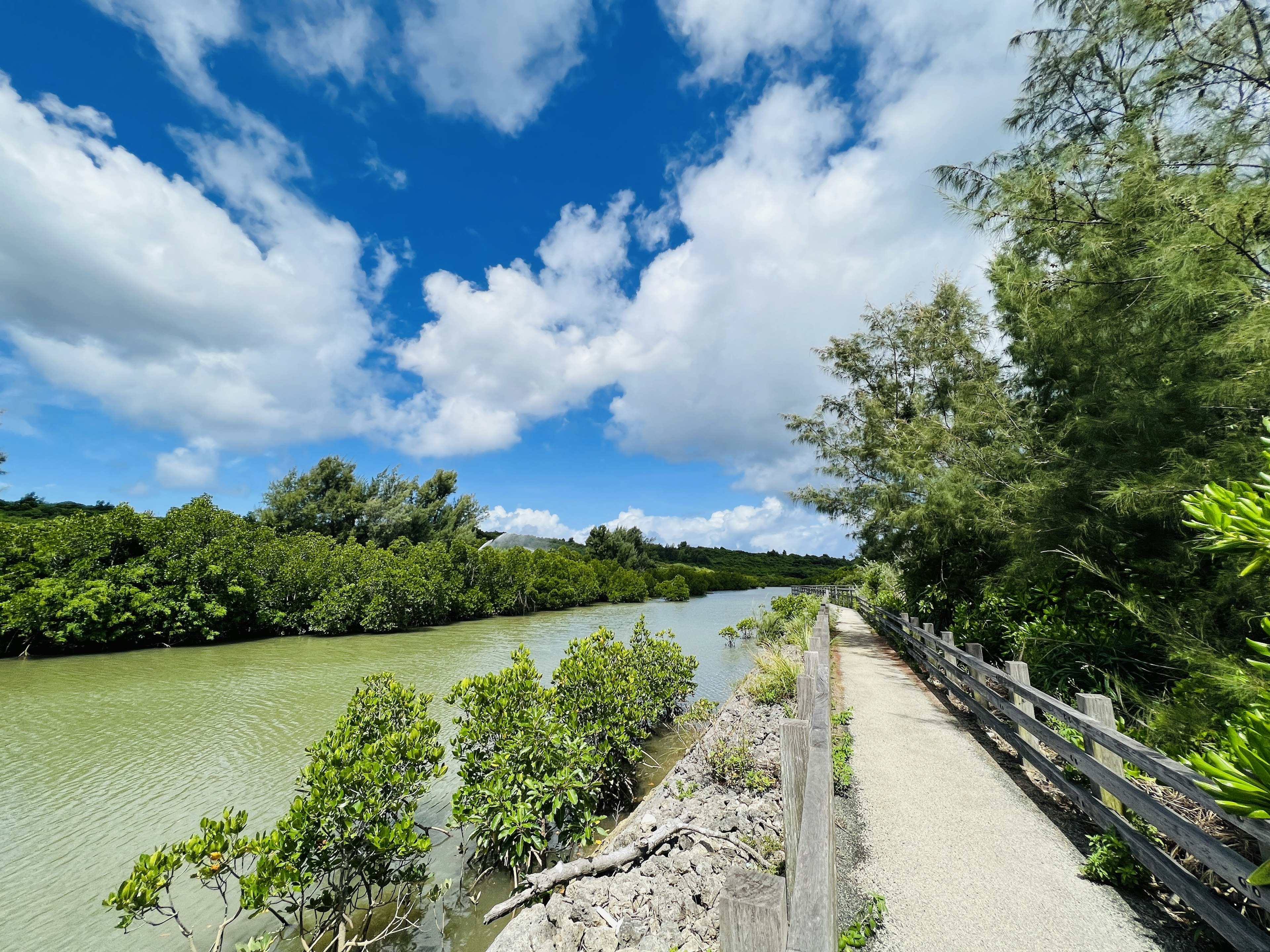 Camino escénico junto al río con vegetación y cielo azul