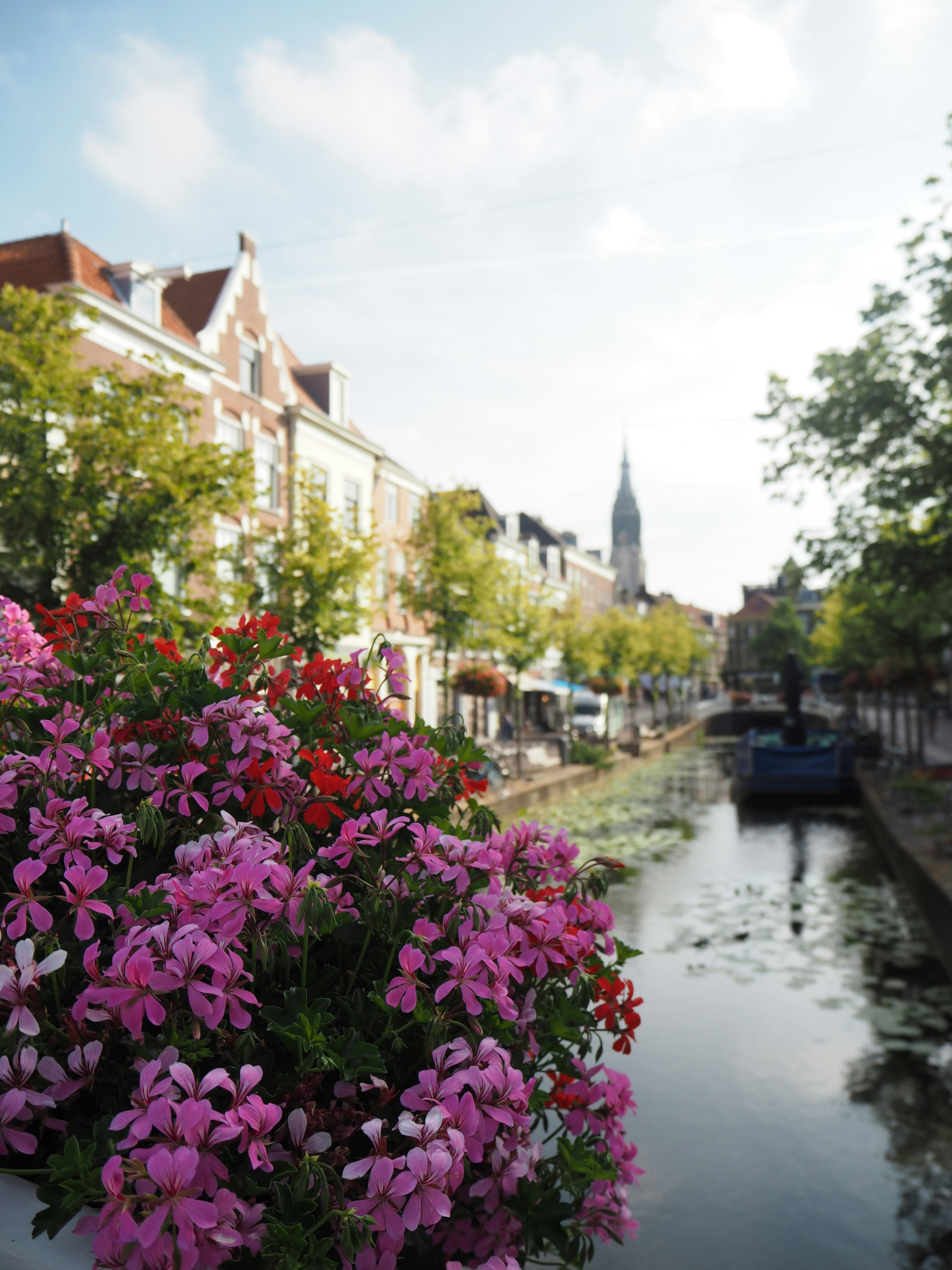 Scenic riverside view with colorful flowers and historic buildings