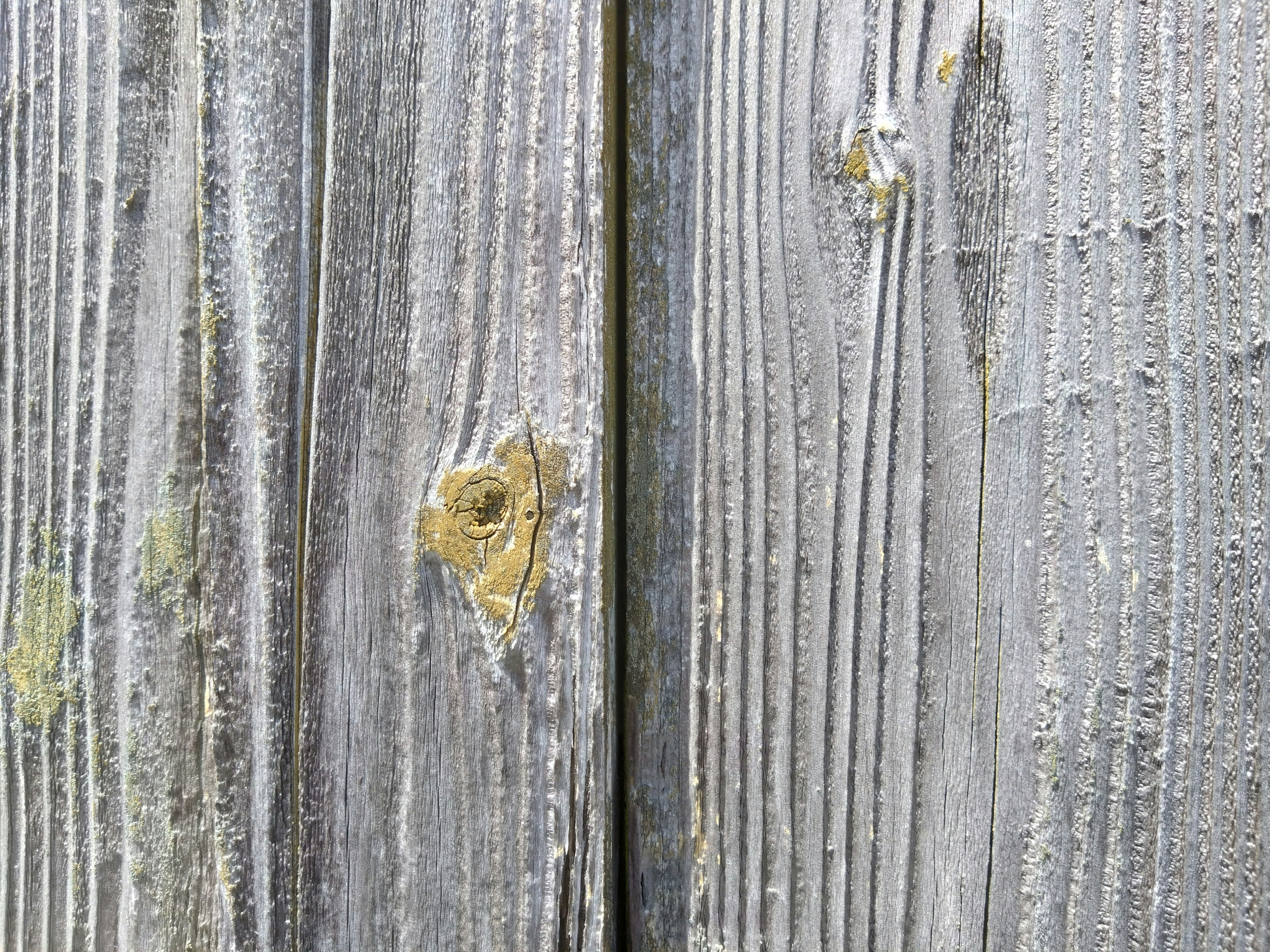 Gros plan sur le grain de bois vieilli avec des nœuds visibles