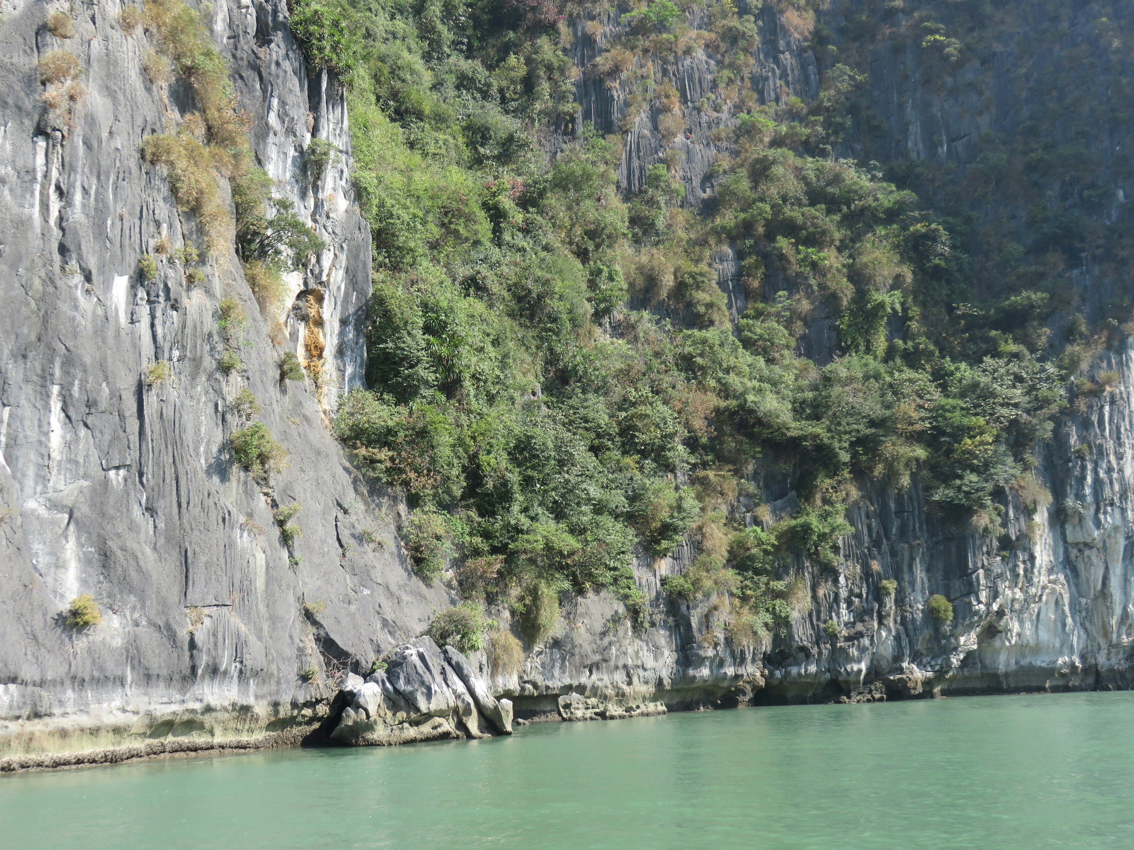 Grüne Berge und ruhige Gewässer der Halong-Bucht